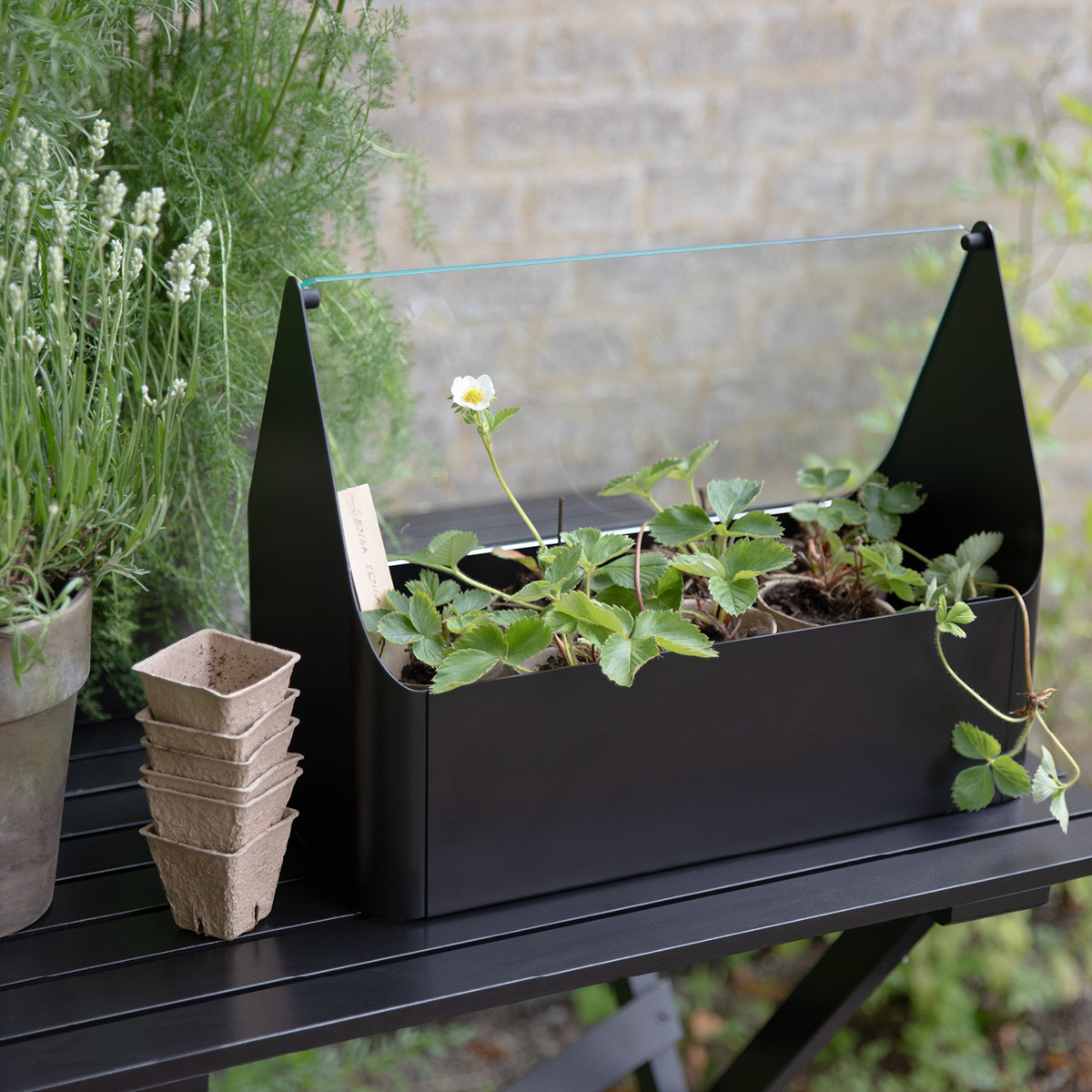 Eva Solo Simply Grow Miniväxthus 20x42x32 cm svart