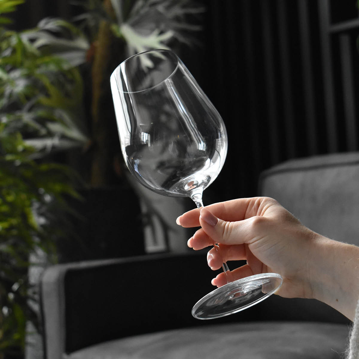 Zwiesel Glas Vuelo Punaviinilasi 78,5 cl Kirkas