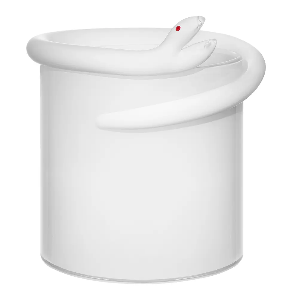 Ormbunke Maljakko LTD 60