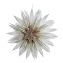 Palisia julstjärna 40 cm råvit