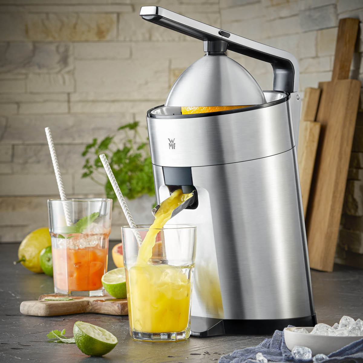 WMF Profi Plus citrus Press 160W