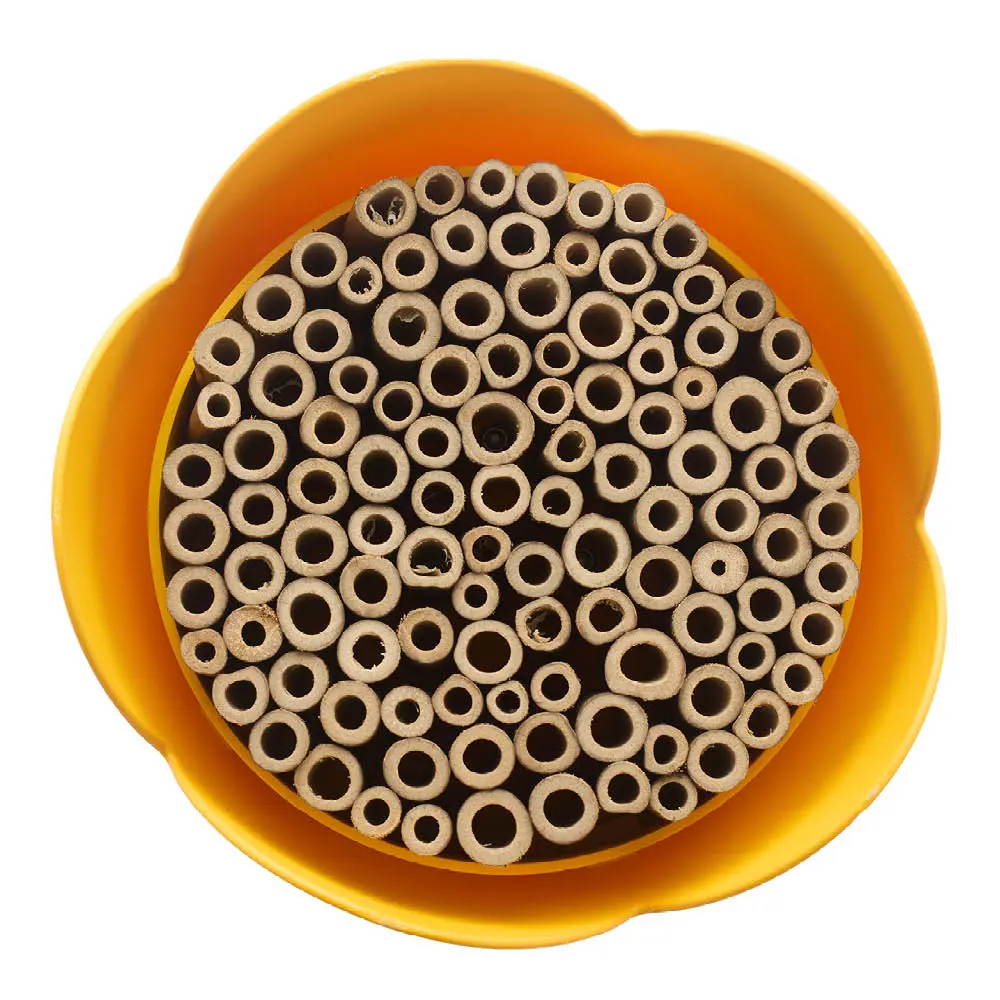 Mehiläishotelli 20 cm Keltainen