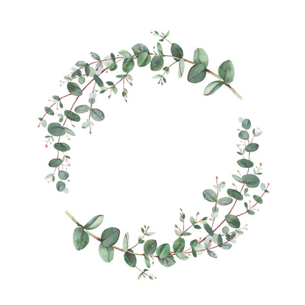 Ambiente Serviett 33x33 cm 20 stk Eucalyptus Branche