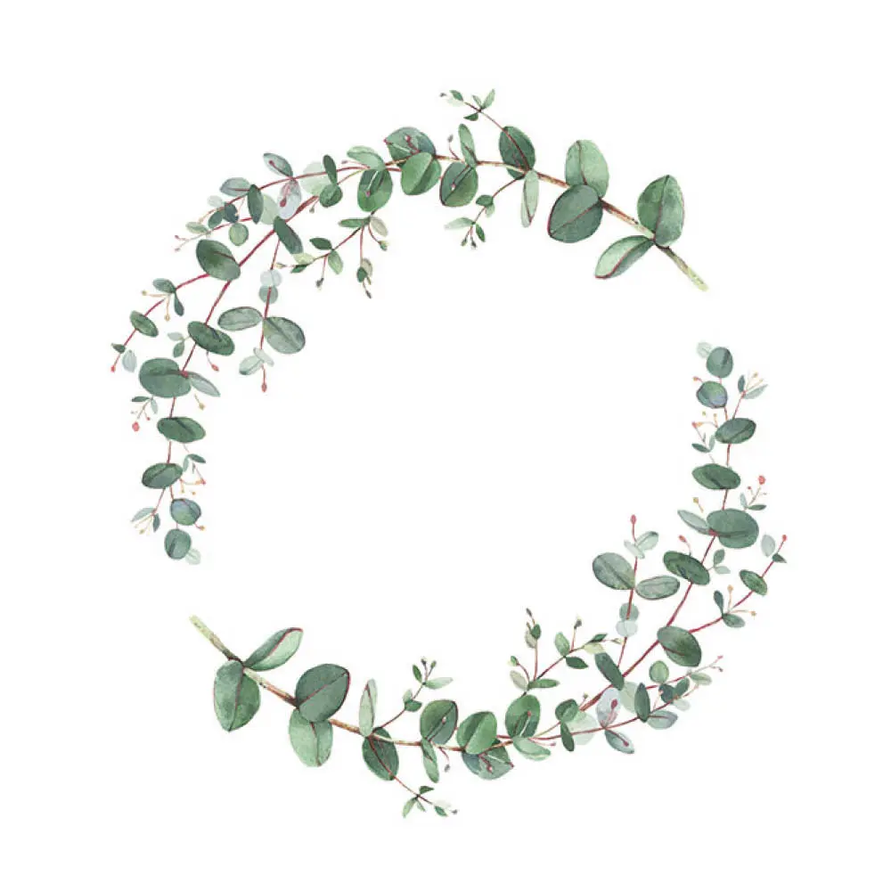 Lautasliina 33x33 cm 20 kpl Eucalyptus Branche