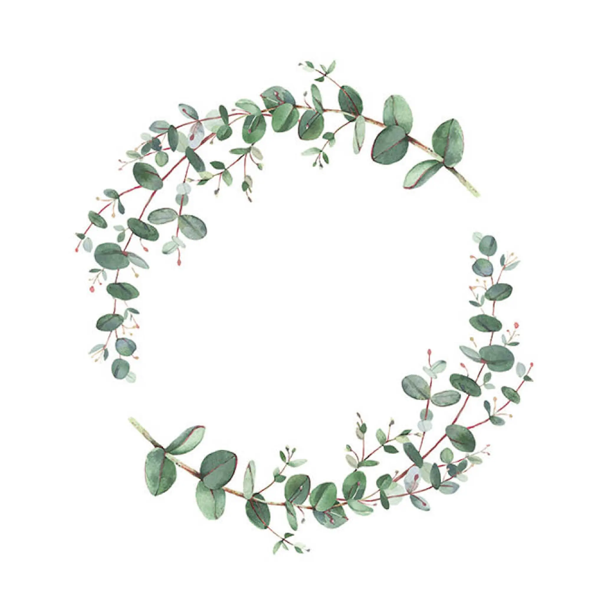 Ambiente Servett 33x33 cm 20-pack Eucalyptus Branche