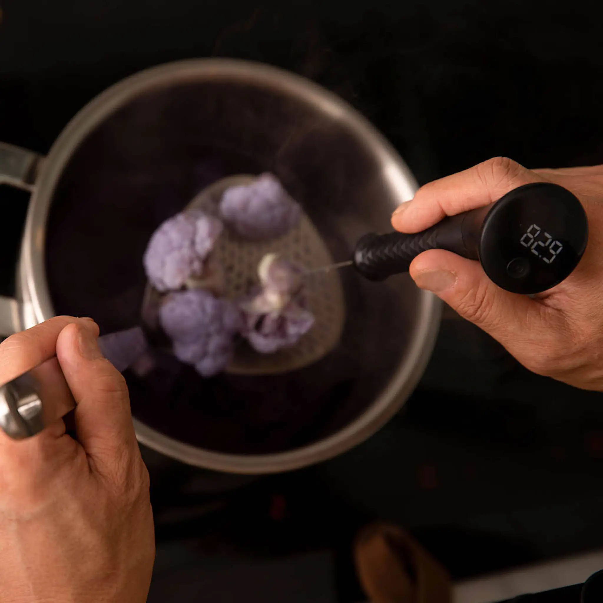 Professional Secrets Termometer 22,9 cm