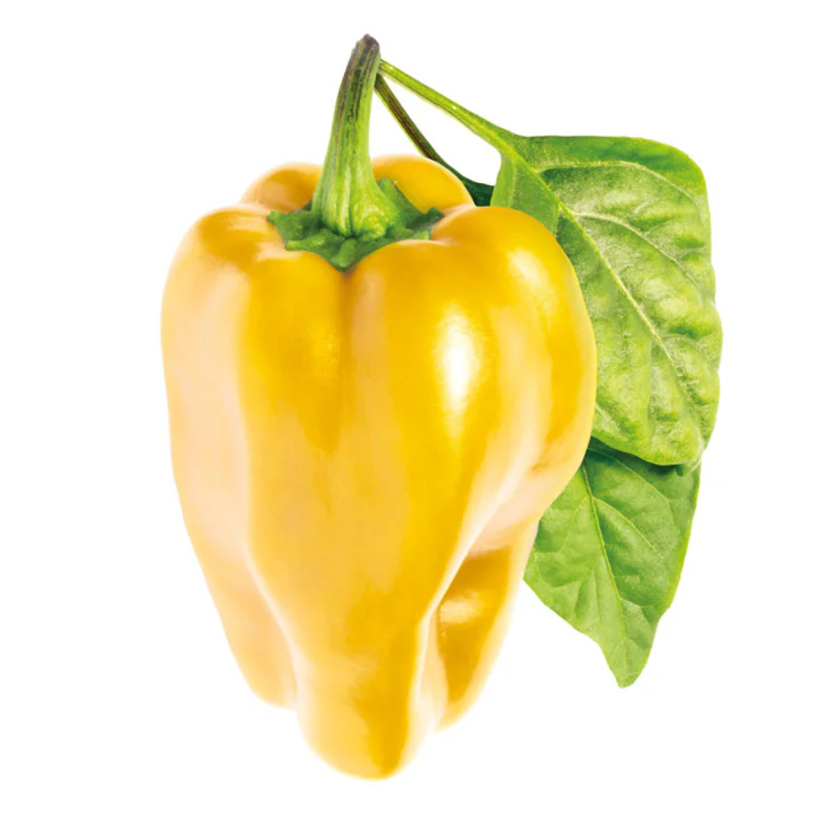 Click & Grow Smart Garden Refill 3 stk gul paprika