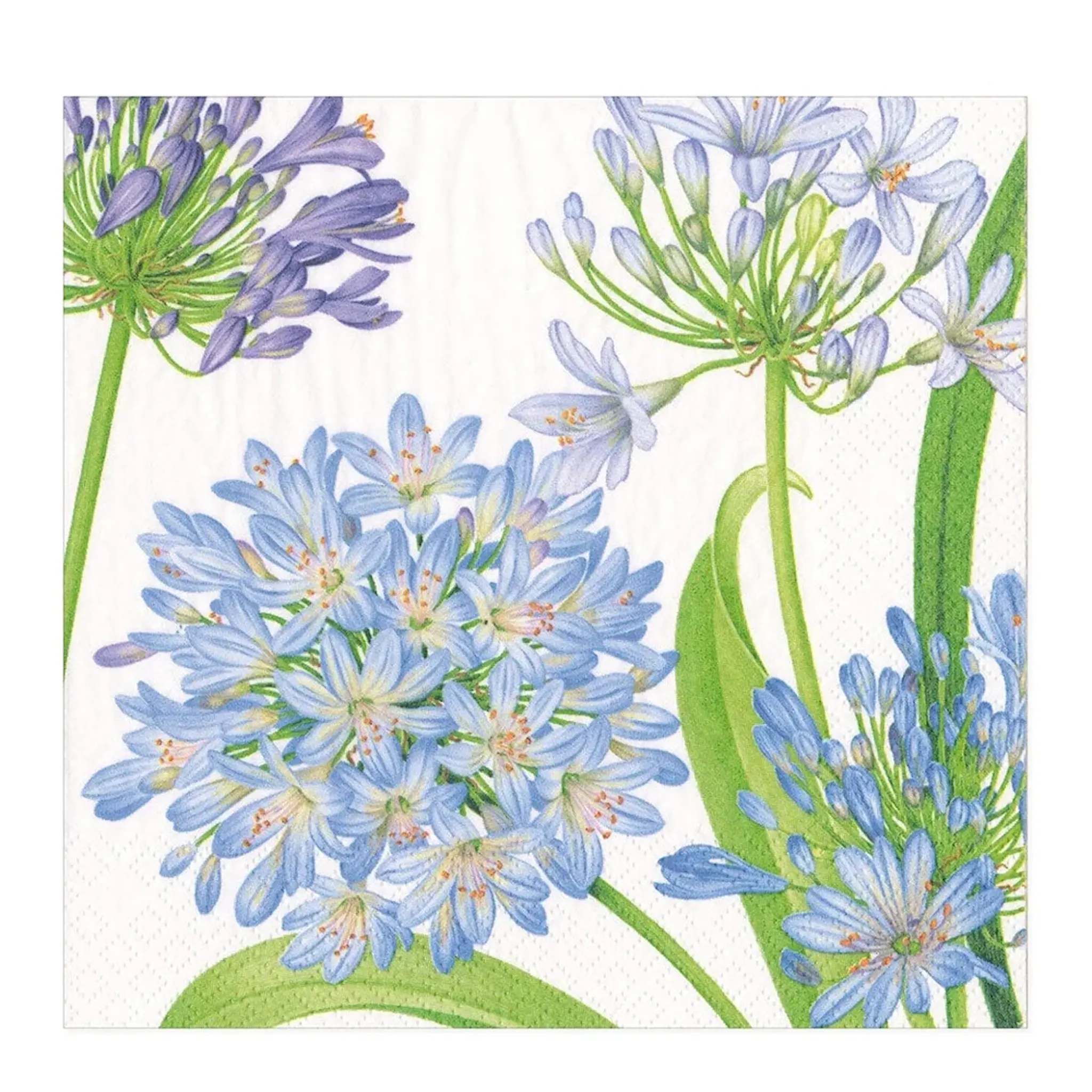 Caspari Agapanthus Garden servett 33x33 cm 20-pack blå/lila/vit