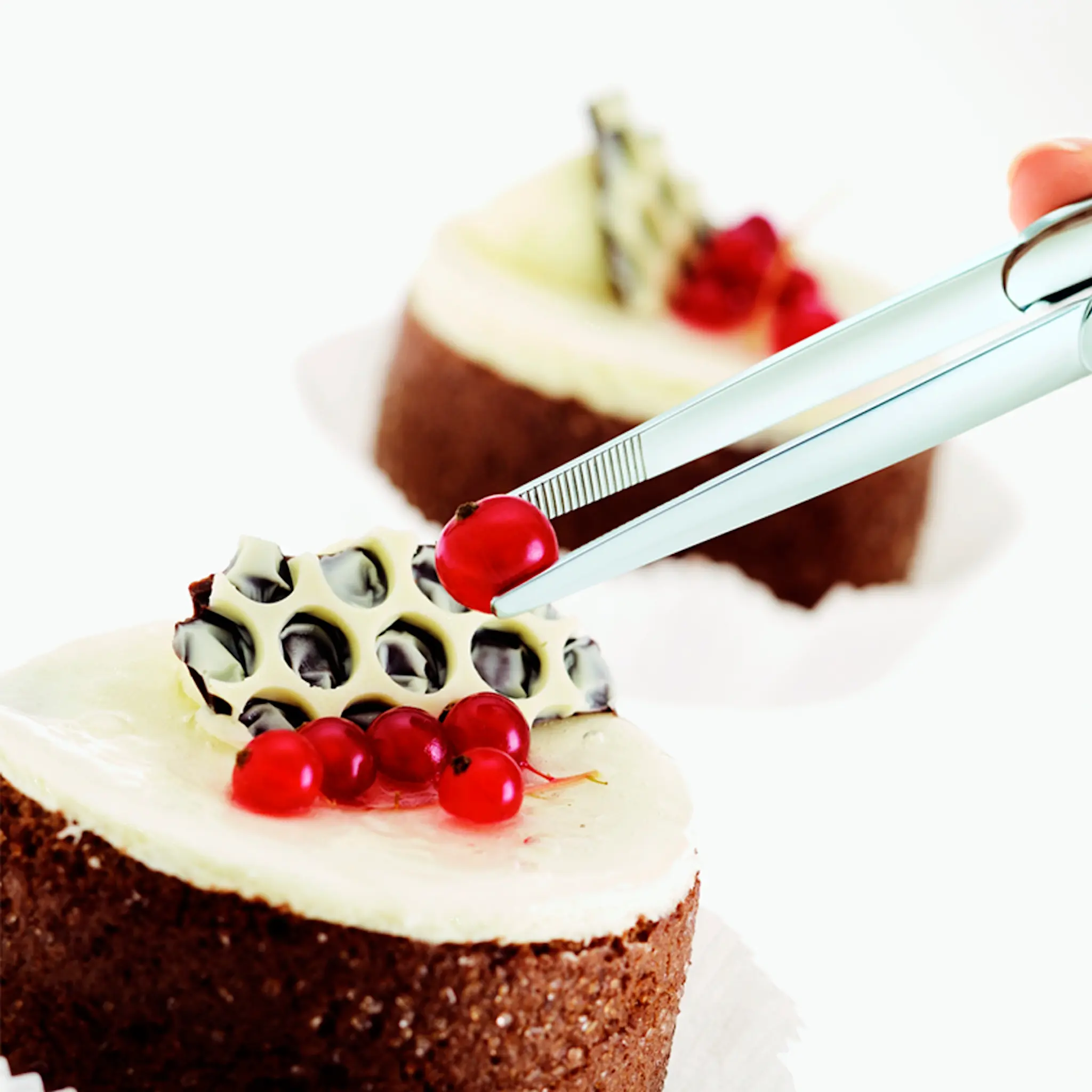 Rösle Paistopihdit 18 cm Teräs