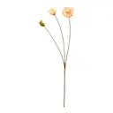 Vallmo 75 cm persika