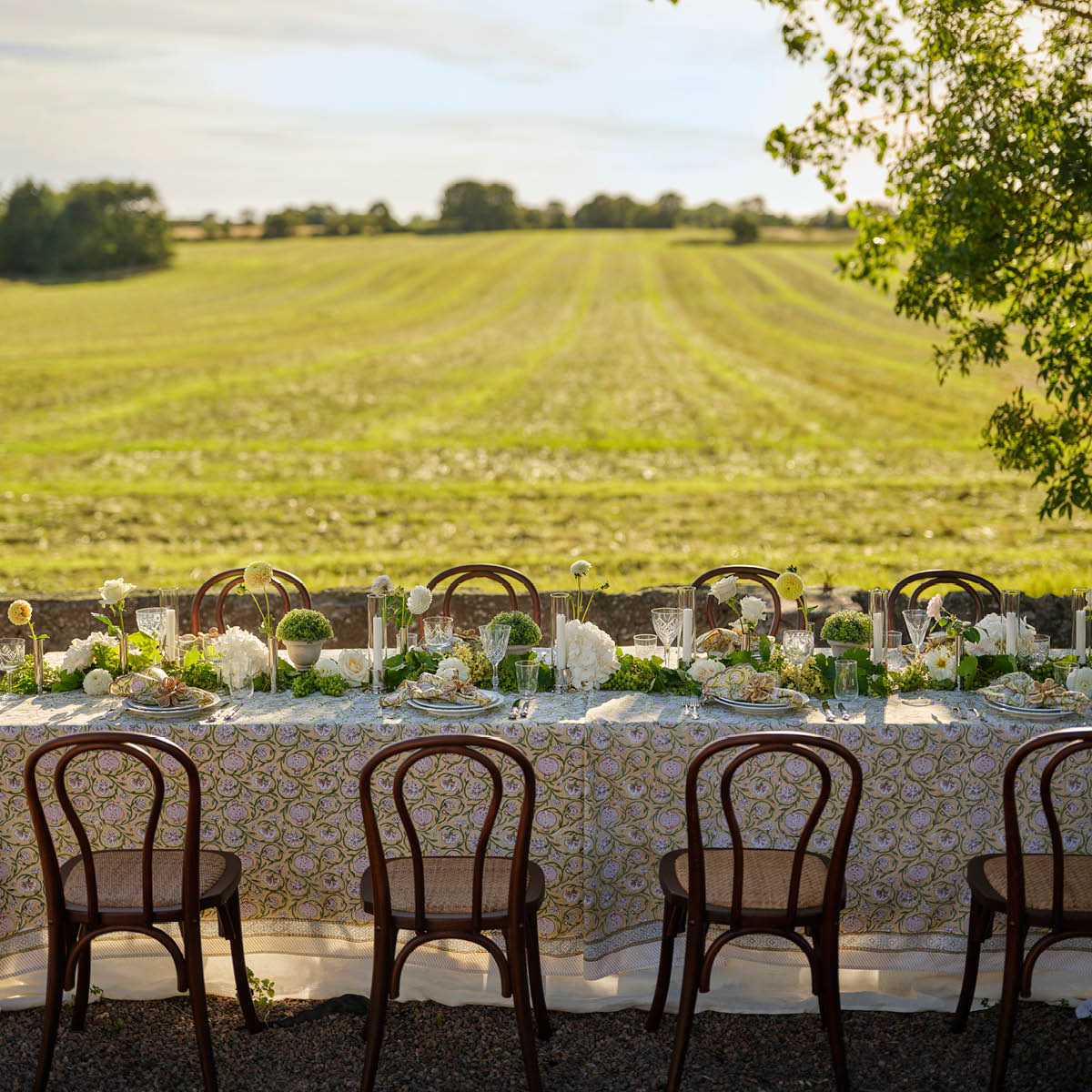 Chamois Tangier Pomegranate servett scallop 50x50 4-pack butter yellow