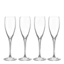 Orrefors More Champagneglas 18 cl 4-pack