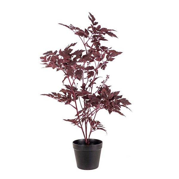 Silverax konstväxt 75 cm burgundy