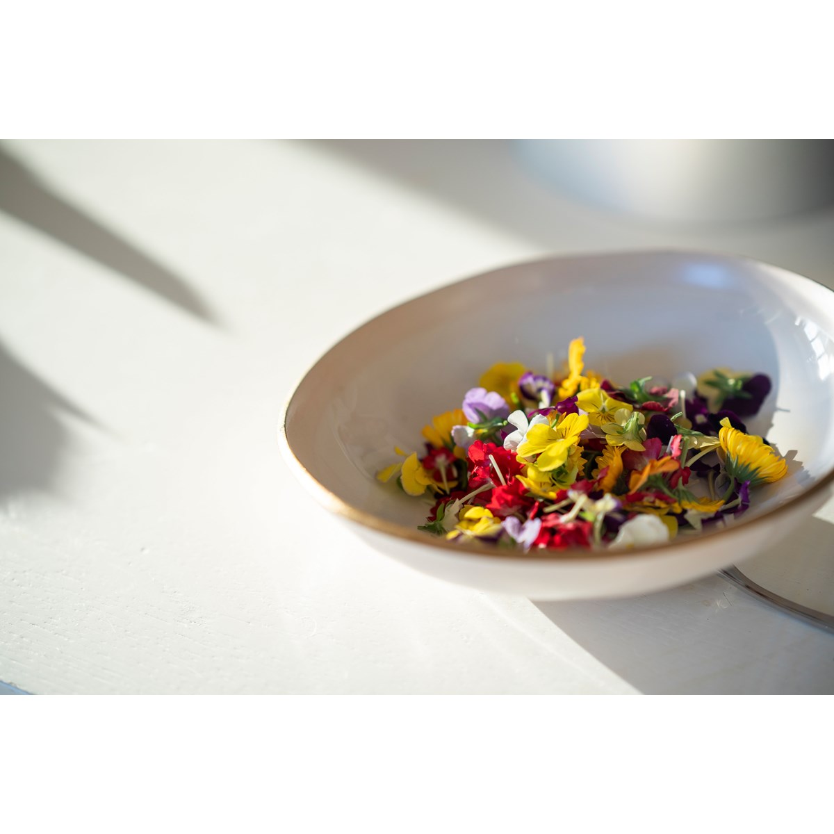 Heirol Heirol x Nosse dyp tallerken 20 cm edge ivory gold