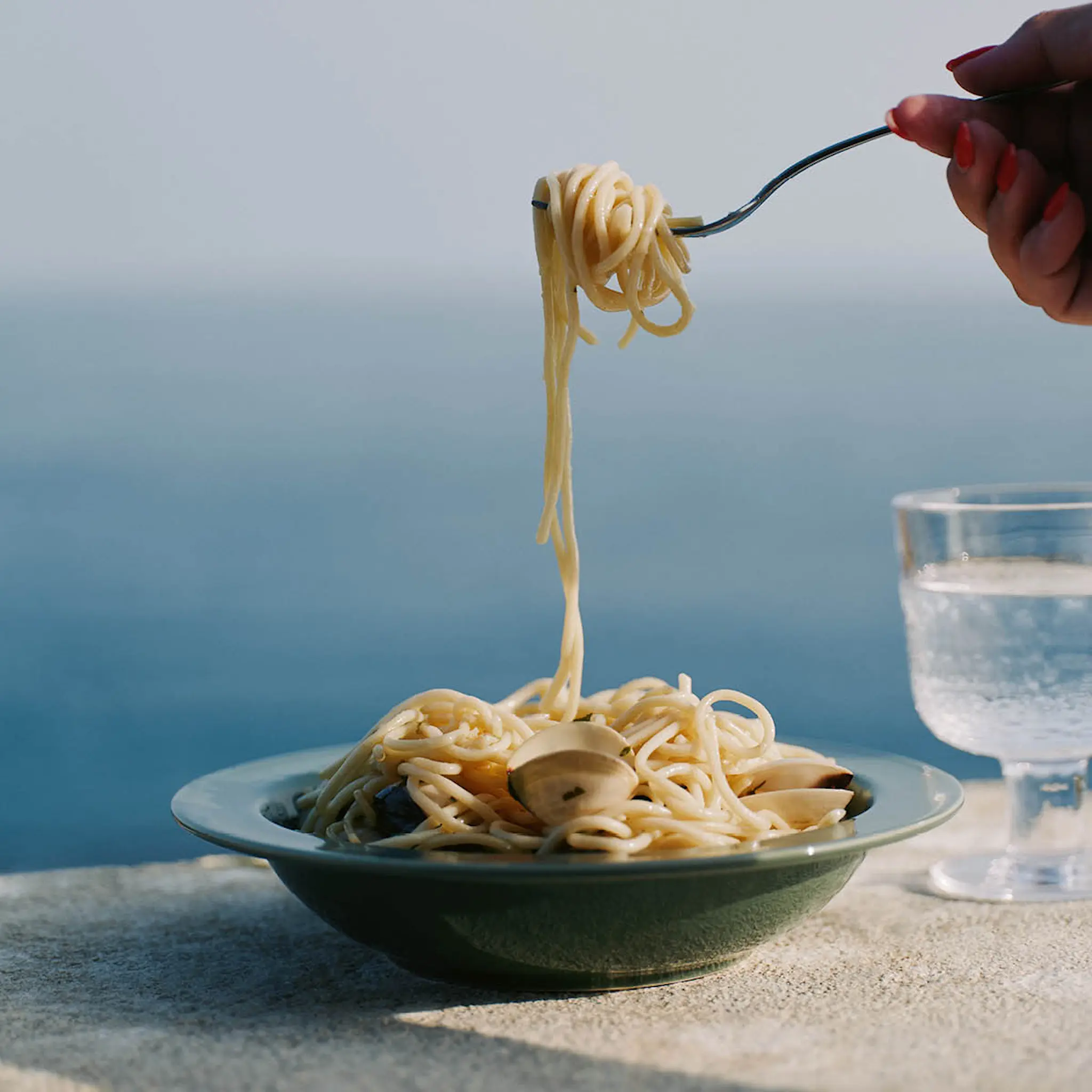 Arabia 24h djup tallrik 22 cm vintergrön