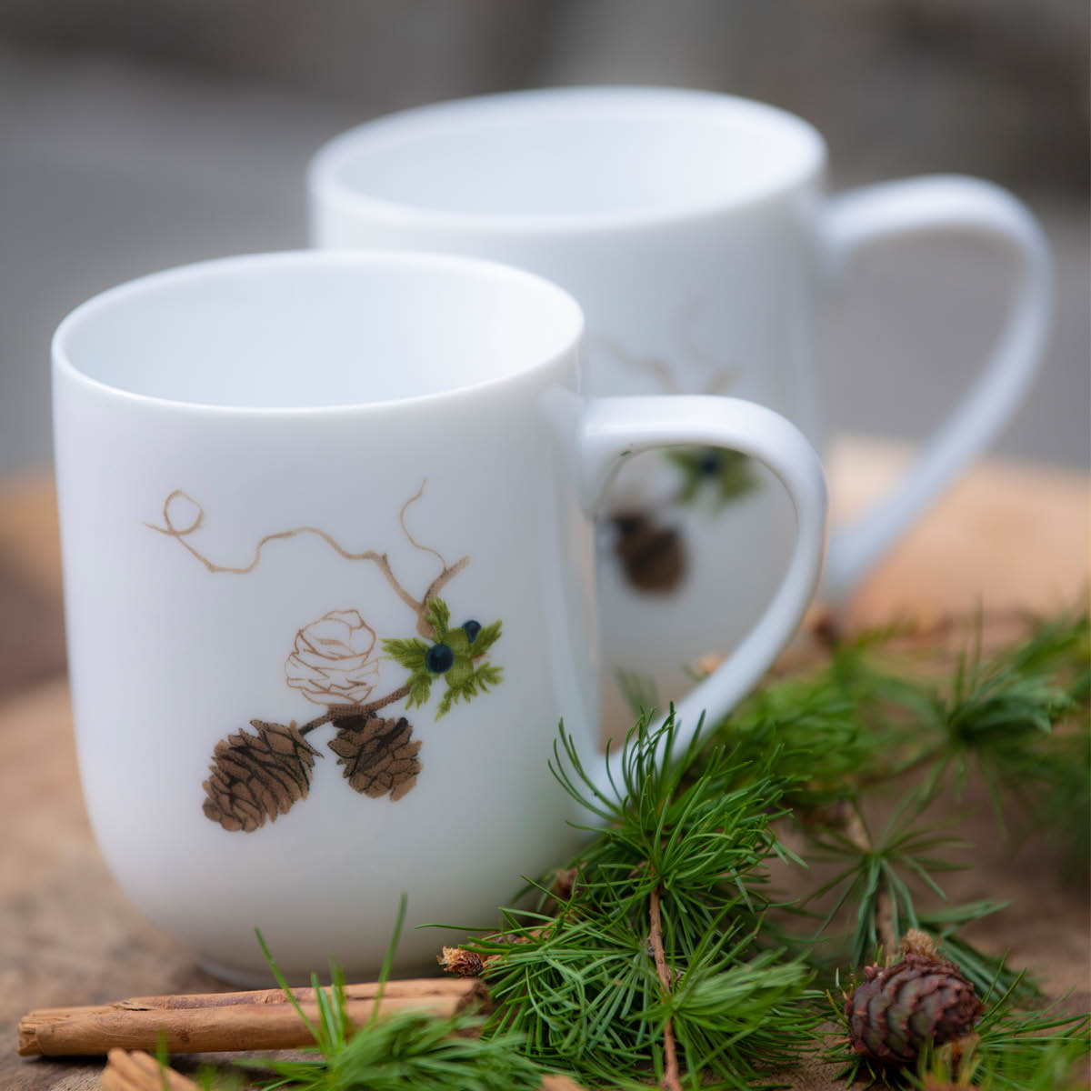 Magnor Nostalgi Muki 35 cl 2 kpl Valkoinen/Vihreä