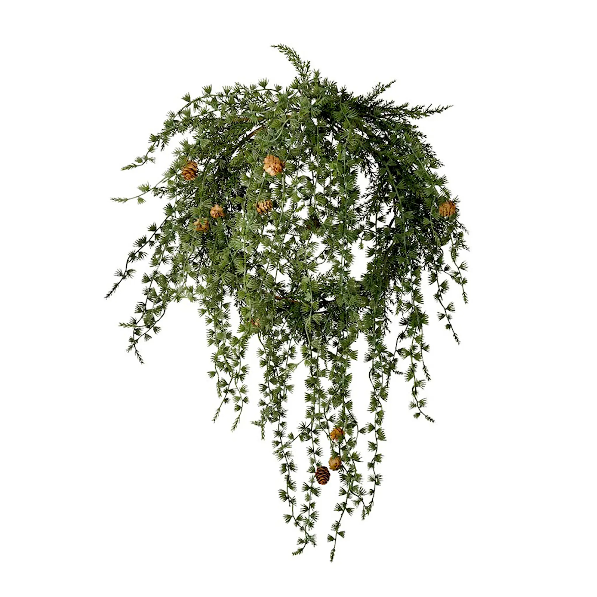 Mr Plant Lärkkrans 45 cm grön