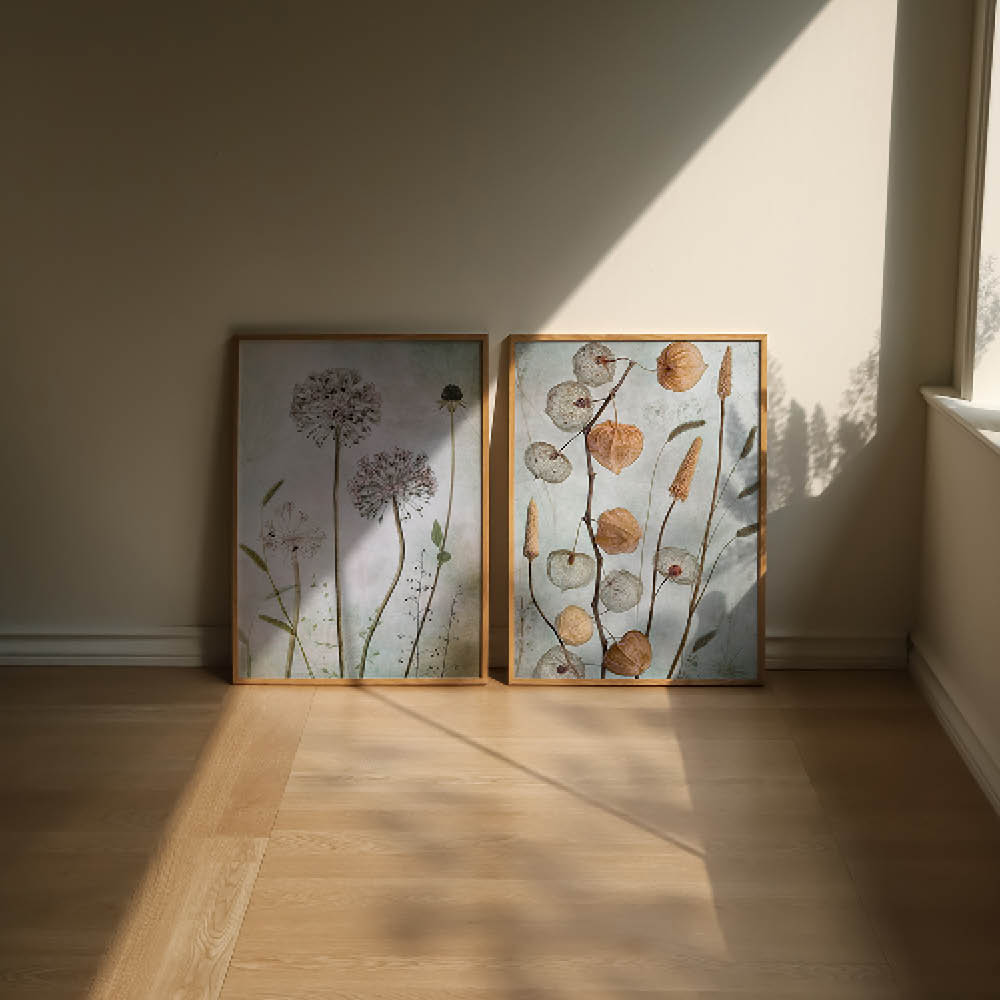 Poster & Frame Mandy Disher Juliste 50x70 cm Lanterns