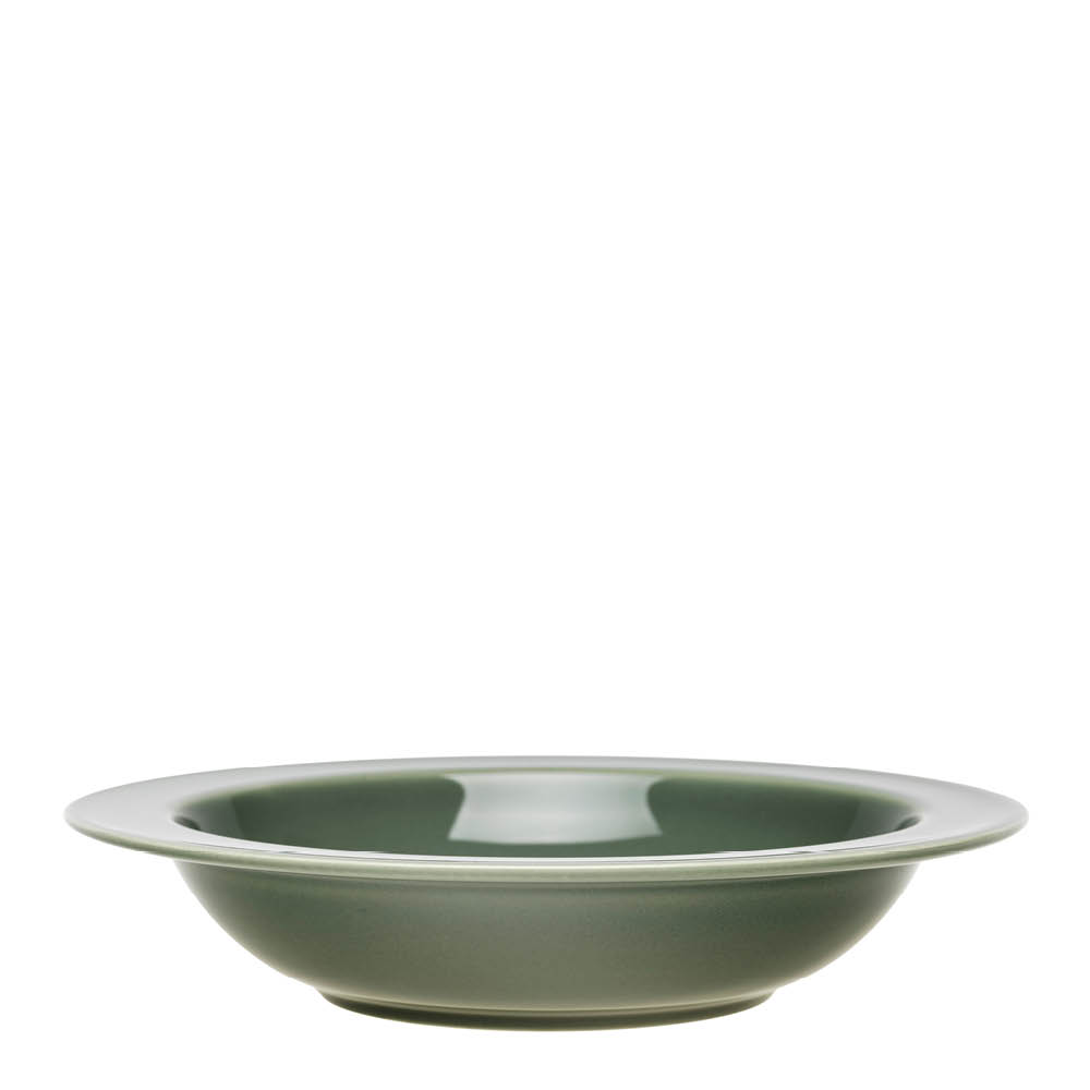 Arabia 24h djup tallrik 22 cm vintergrön