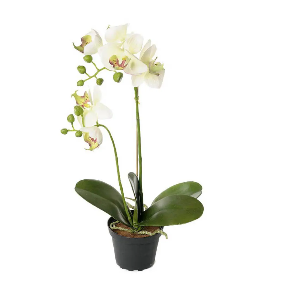 Phalaenopsis kunstig plante 45 cm