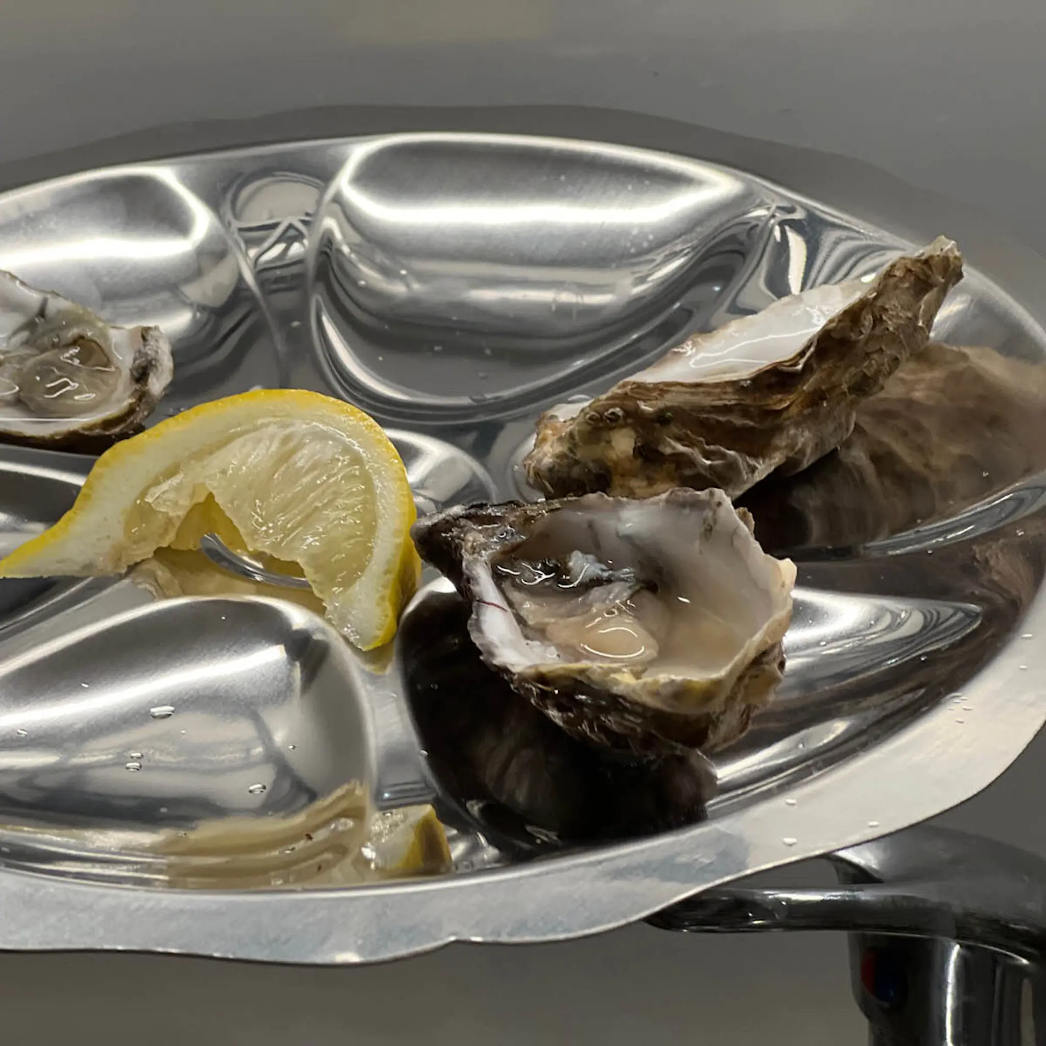 Tarrerias-Bonjean Ostrontallrik 25x25 cm silver