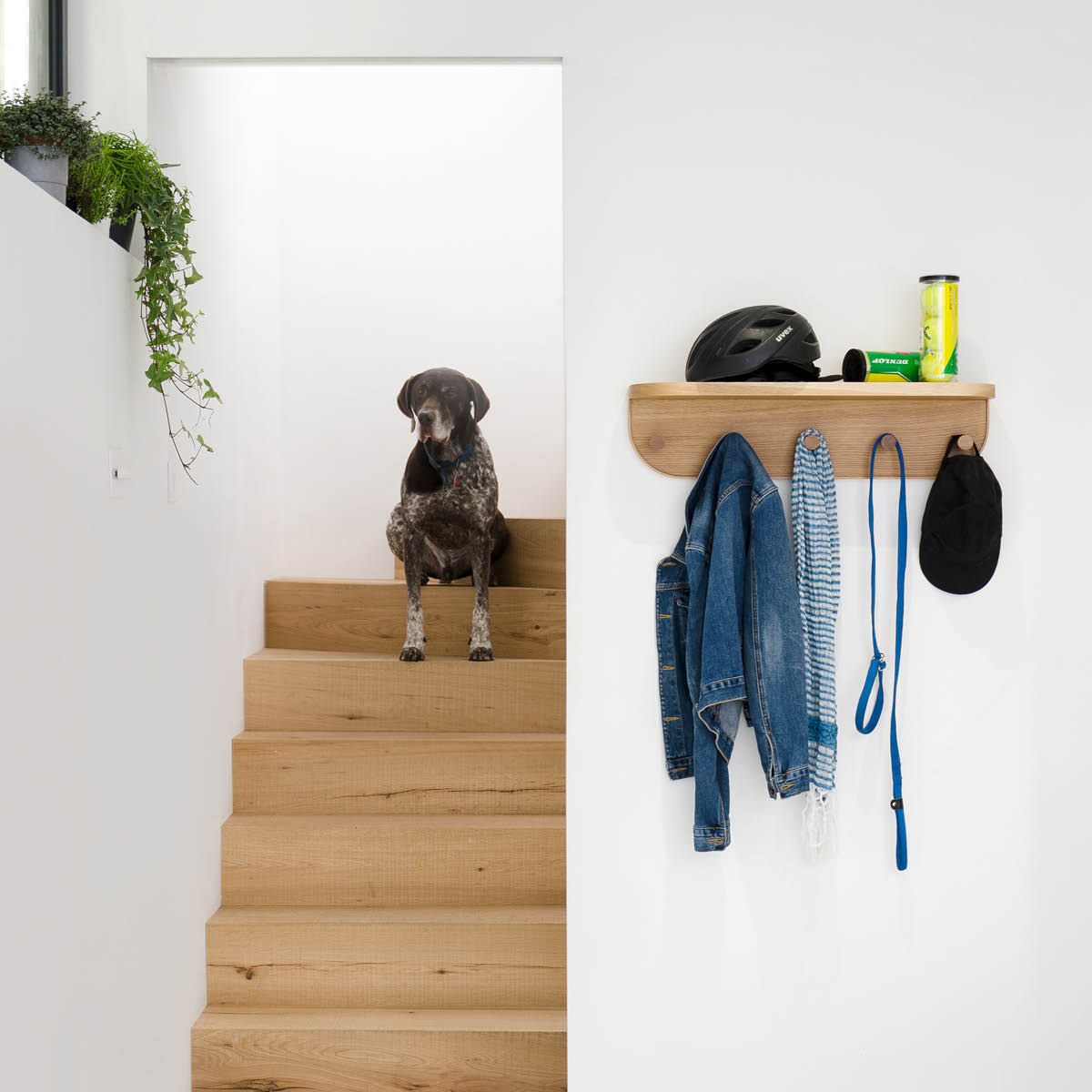 Wireworks Nook Seinähylly 5 koukulla 71 cm Tammi