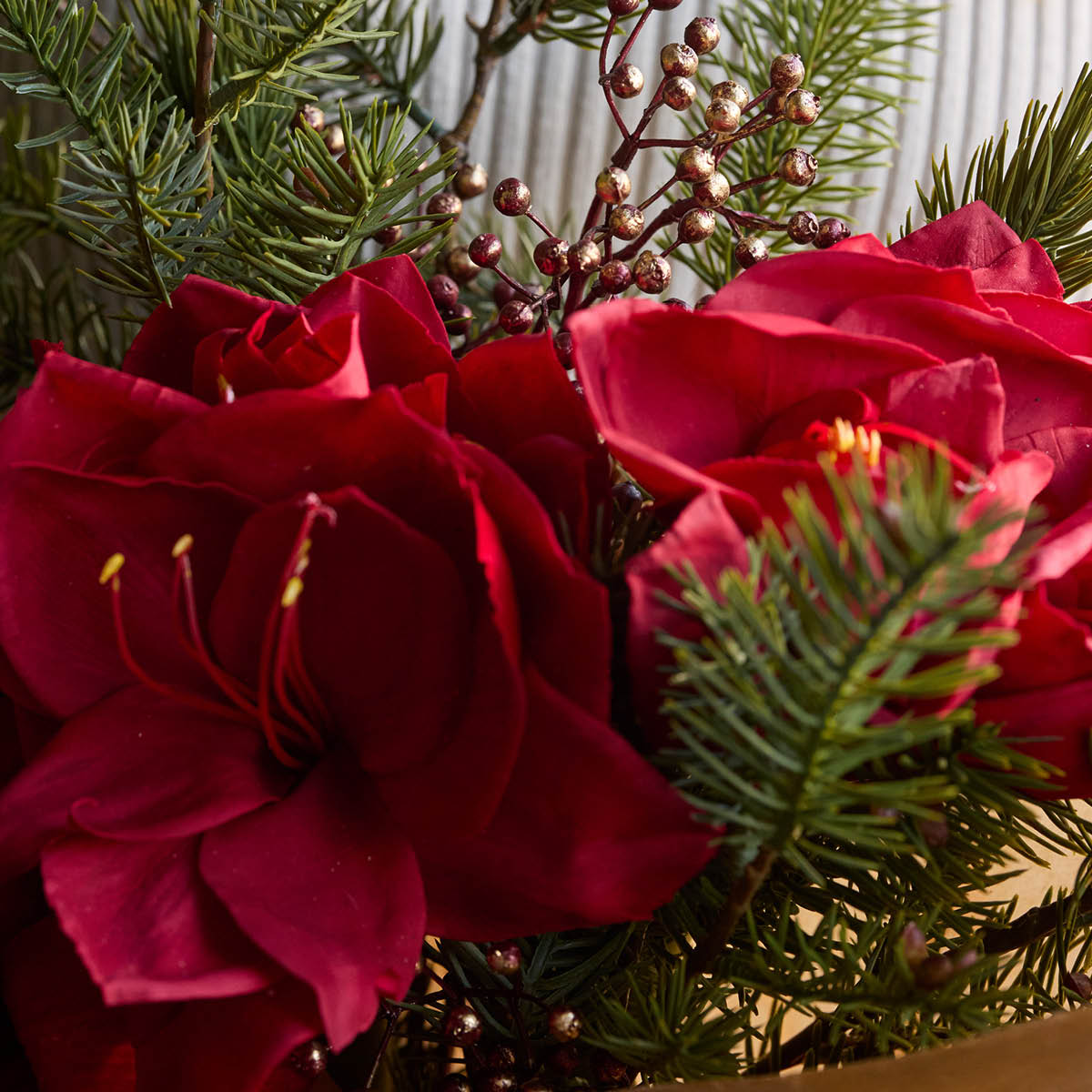 Mr Plant Amaryllis 63 cm rød