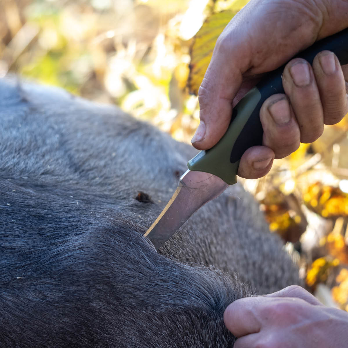 Brusletto Sprettern bukåpner 24,5 cm svart/grønn