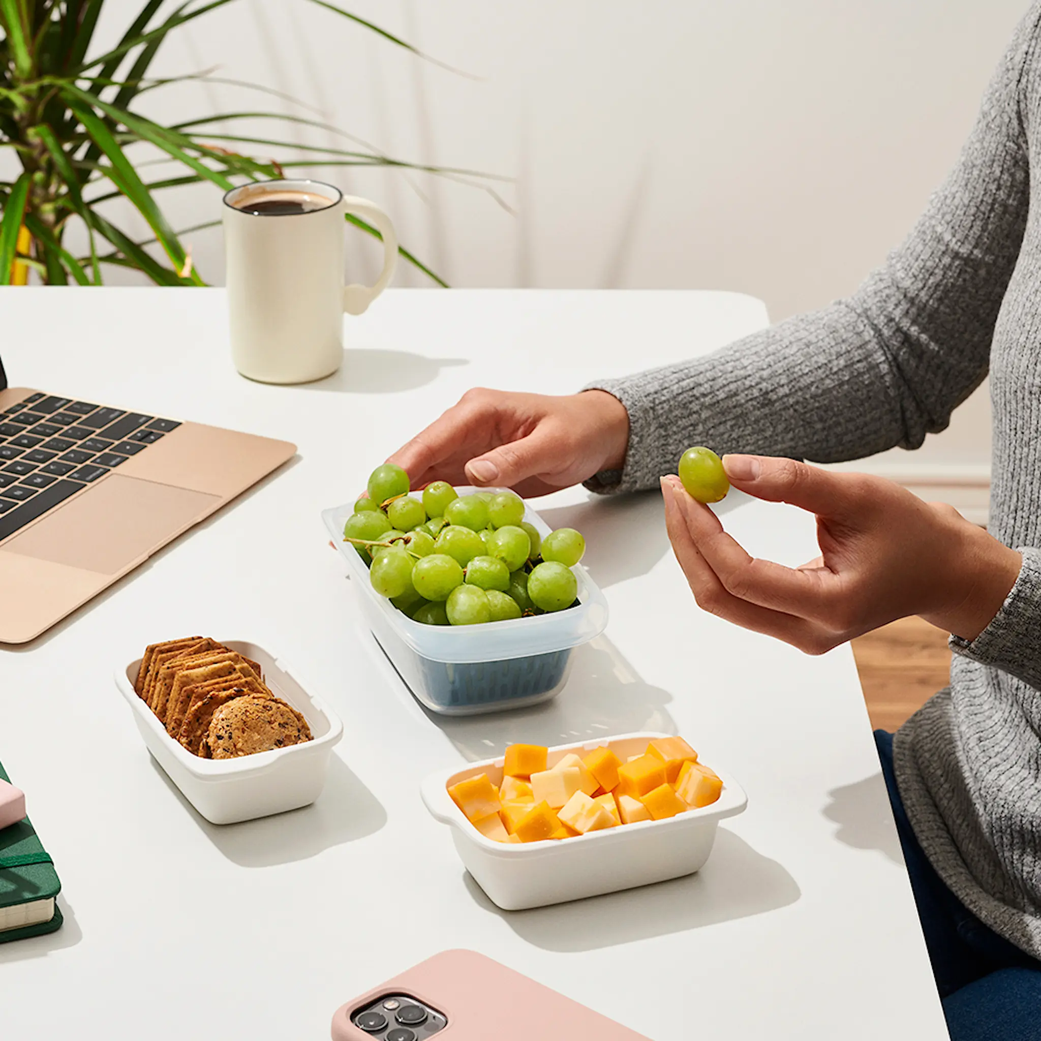 Oxo Prep & Go Säilytysrasia siivilällä 450 ml