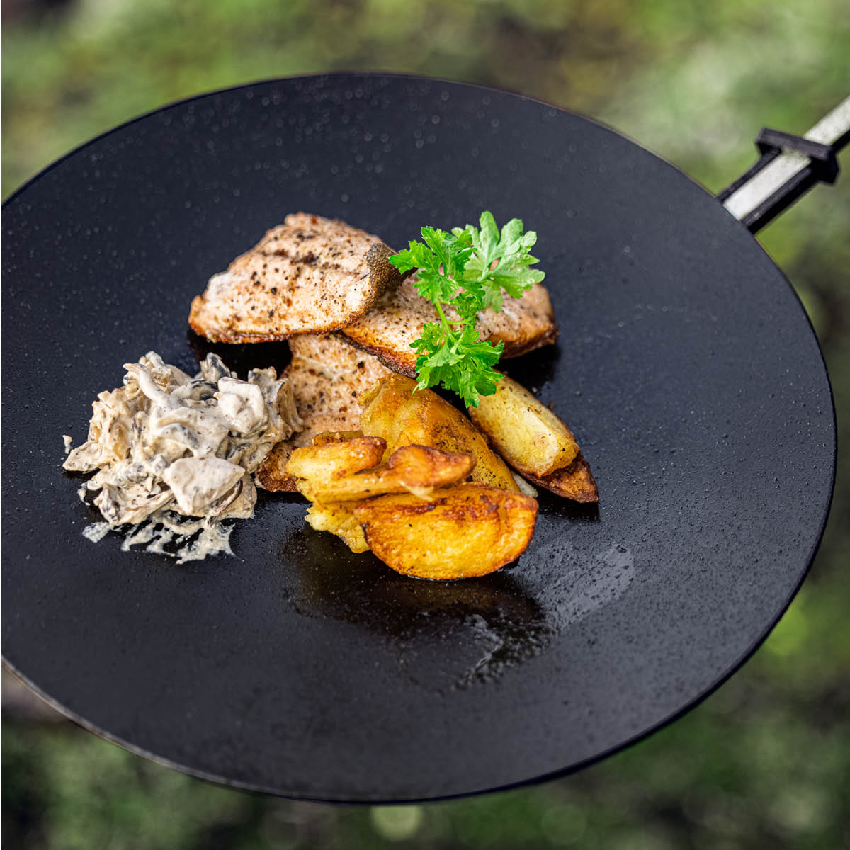 Hällmark of Sweden Stekepanne 28 cm svart