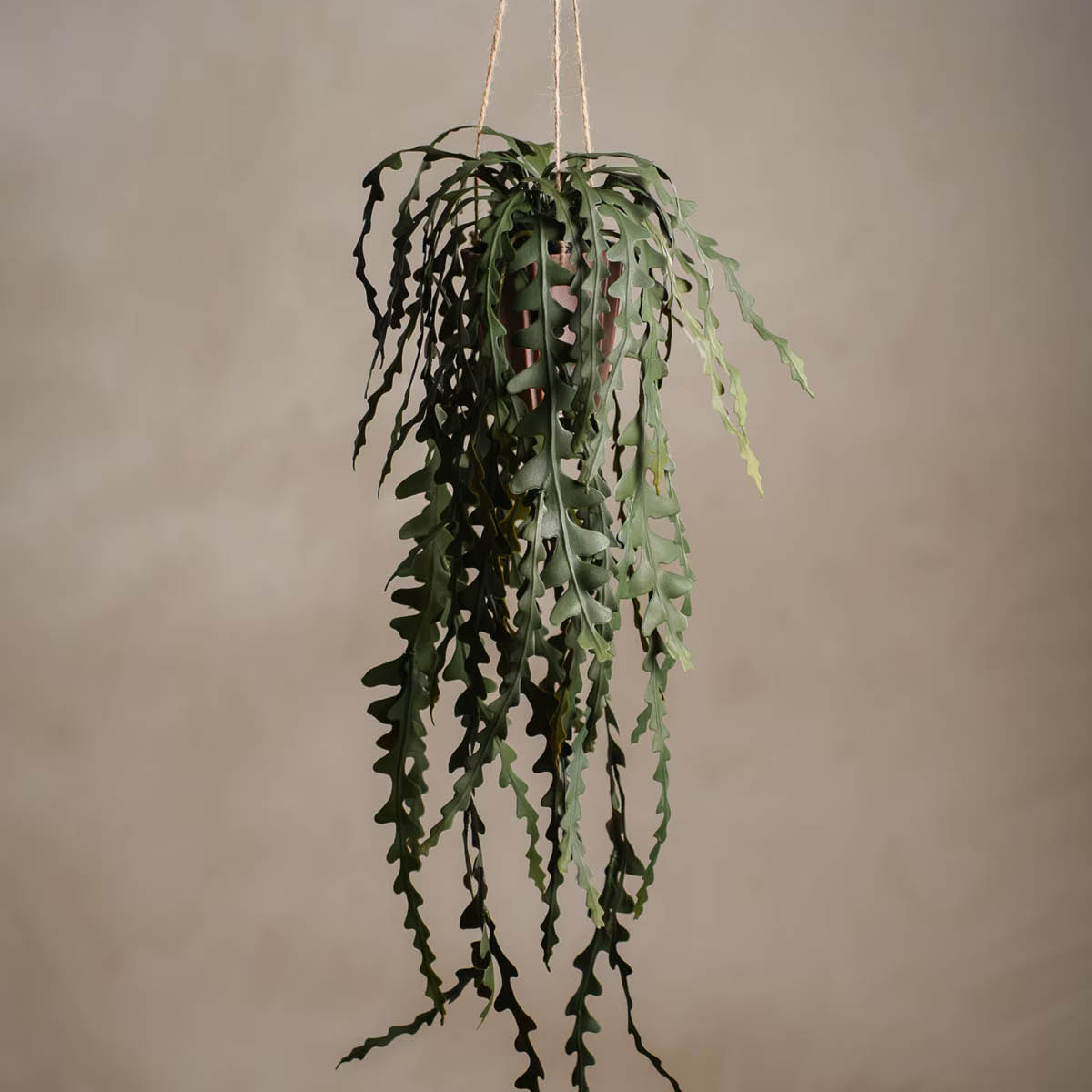 Mr Plant Elghornbregne kunstig plante 60 cm