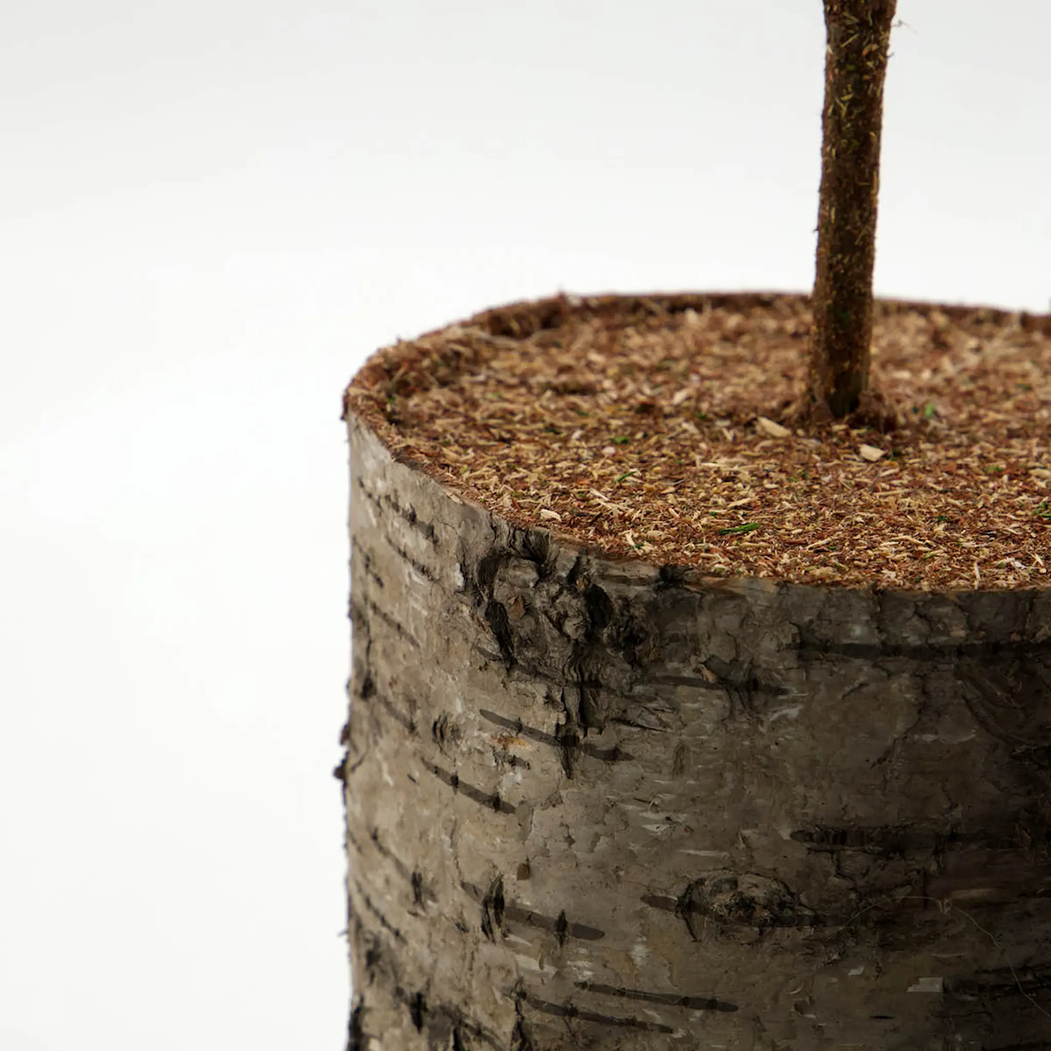 House Doctor Pine julgran 15 cm grön