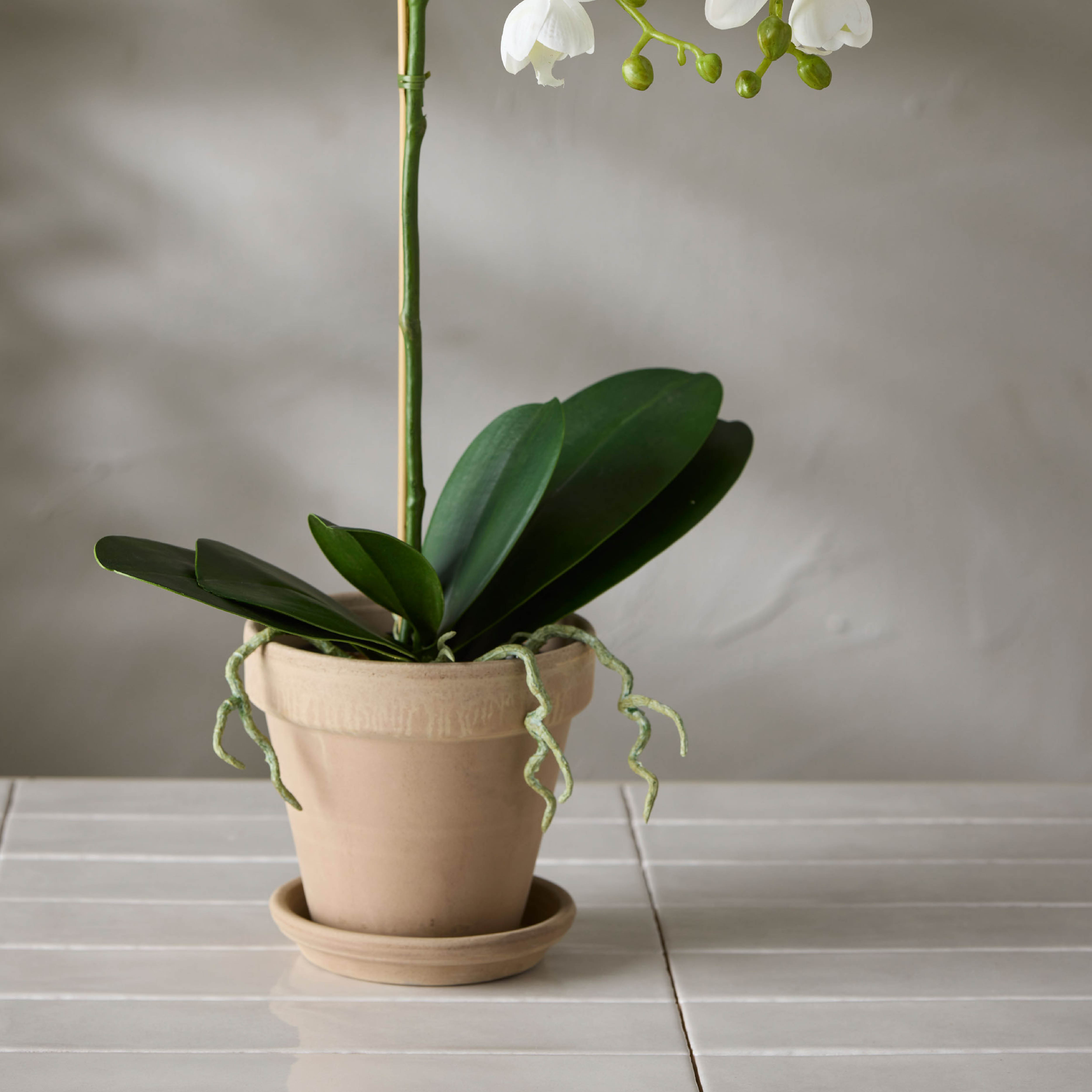Mr Plant Phalaenopsis kunstig potteplante 60 cm hvit