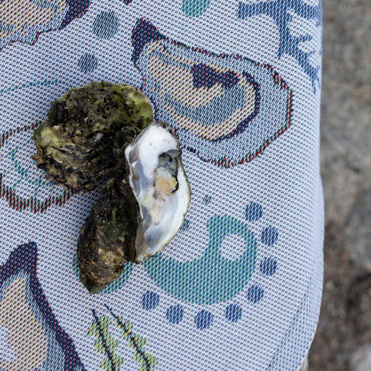 Ekelund Korall handduk 40x60 cm