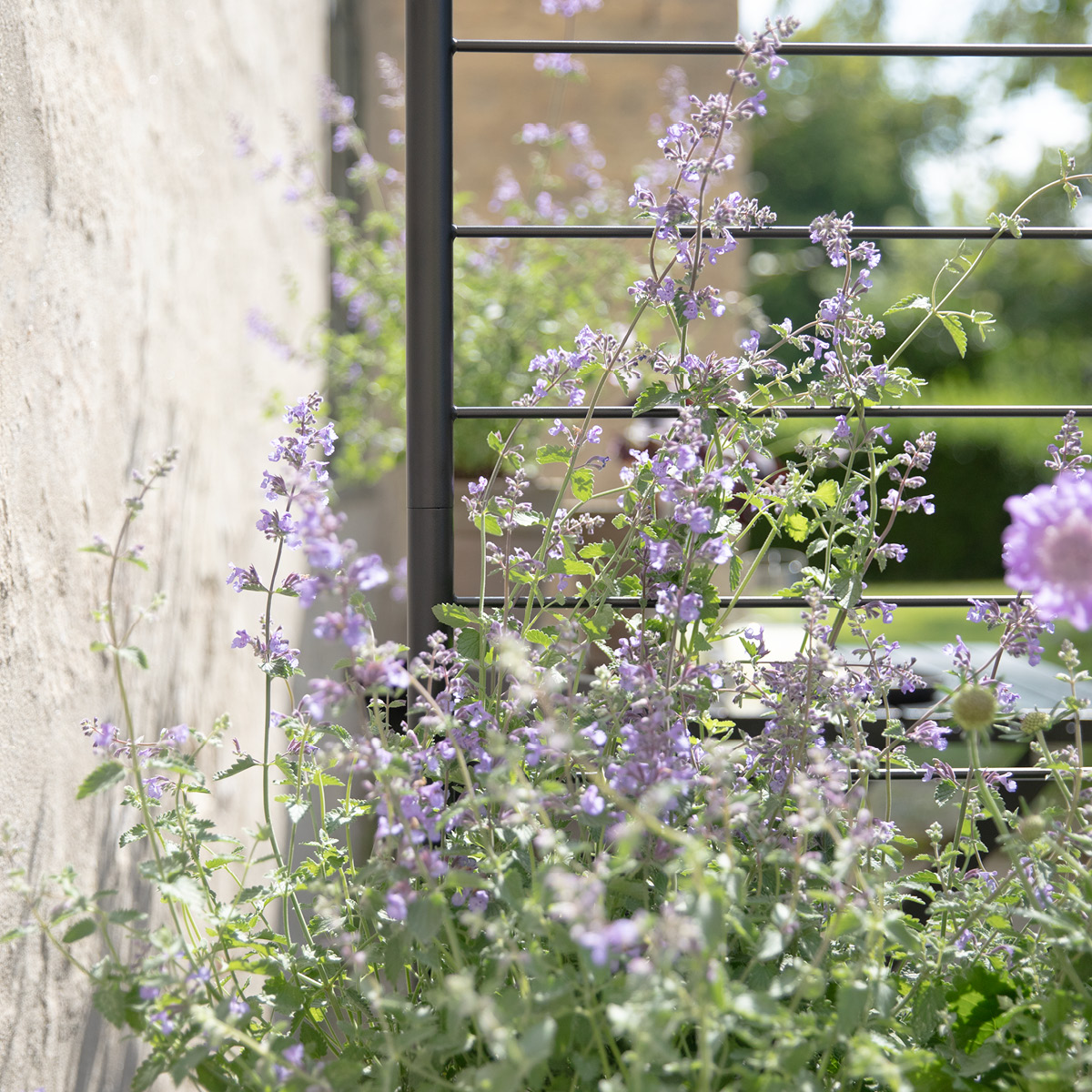 Eva Solo Simply Grow Spaljé till odlingslåda svart