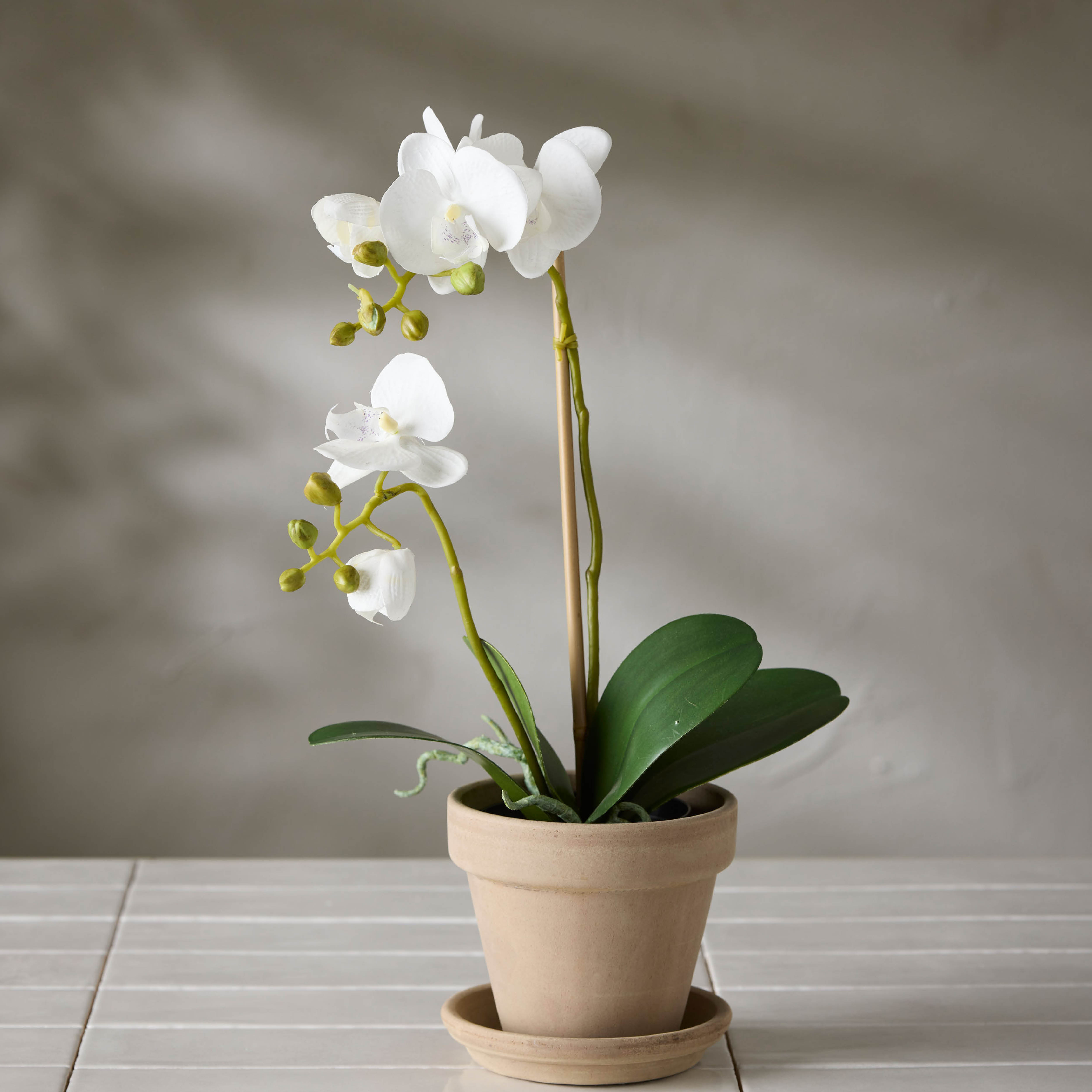 Mr Plant Phalaenopsis kunstig potteplante 45 cm hvit