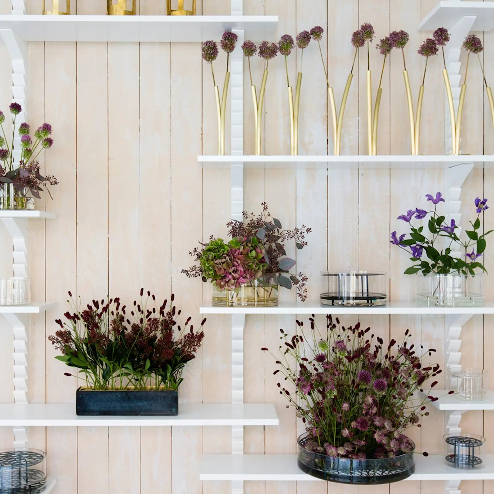 Klong Äng Vas liten Blåsvart