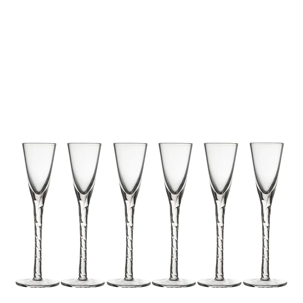 Paris Snapsilasi 16 cm 6 kpl Kirkas