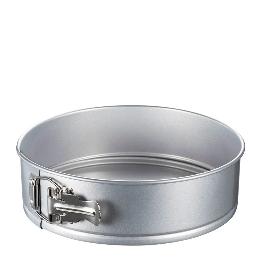 Bayk Irtopohjavuoka 24 cm 2,9L Hopea