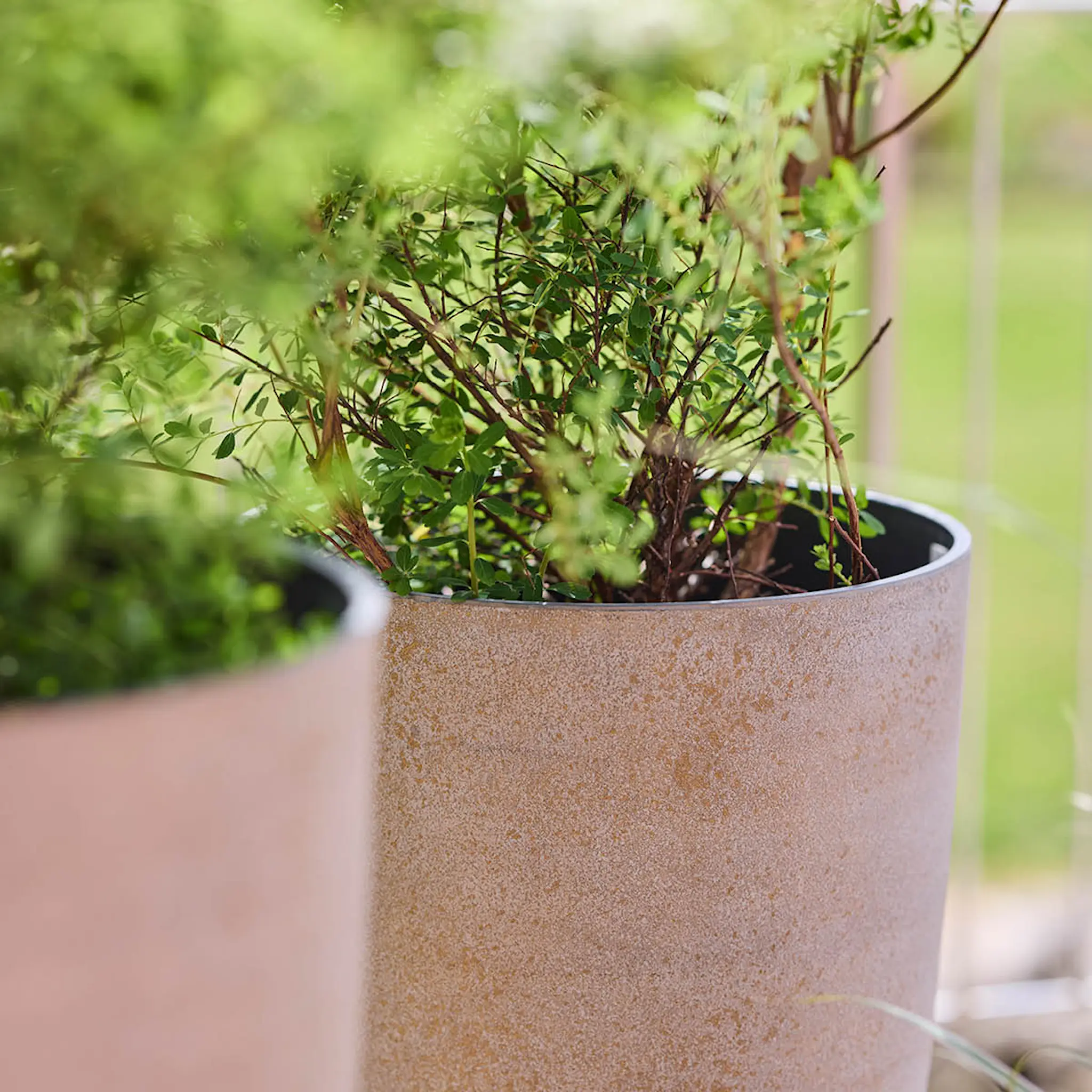 GUS Design Nova blomkruka 29x50 cm concrete gold