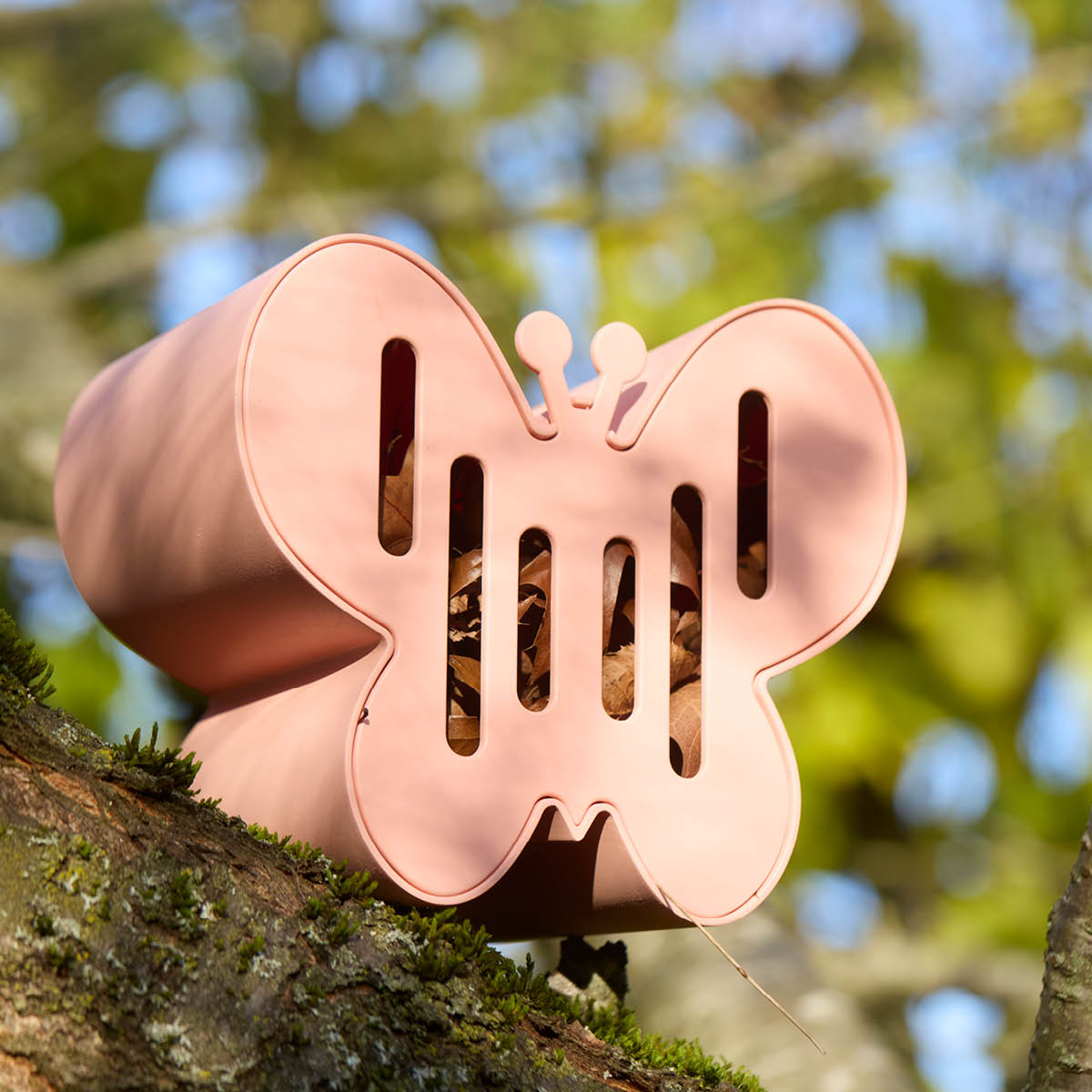 Point Virgule Fjärilshus 19 cm rosa