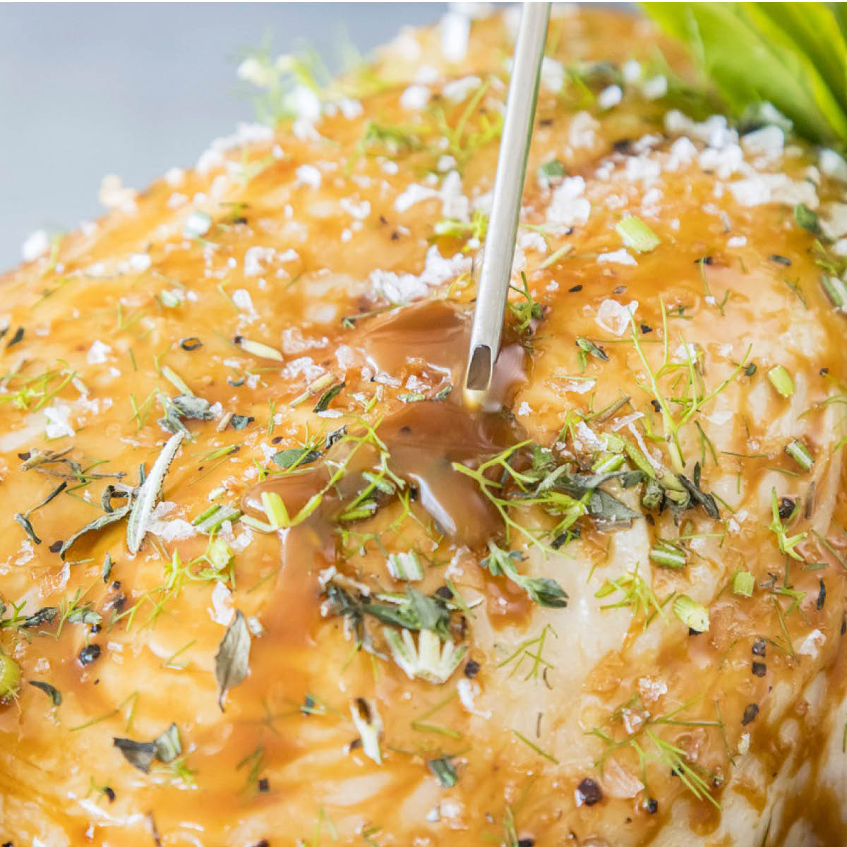 MasterClass Pipette rustfri