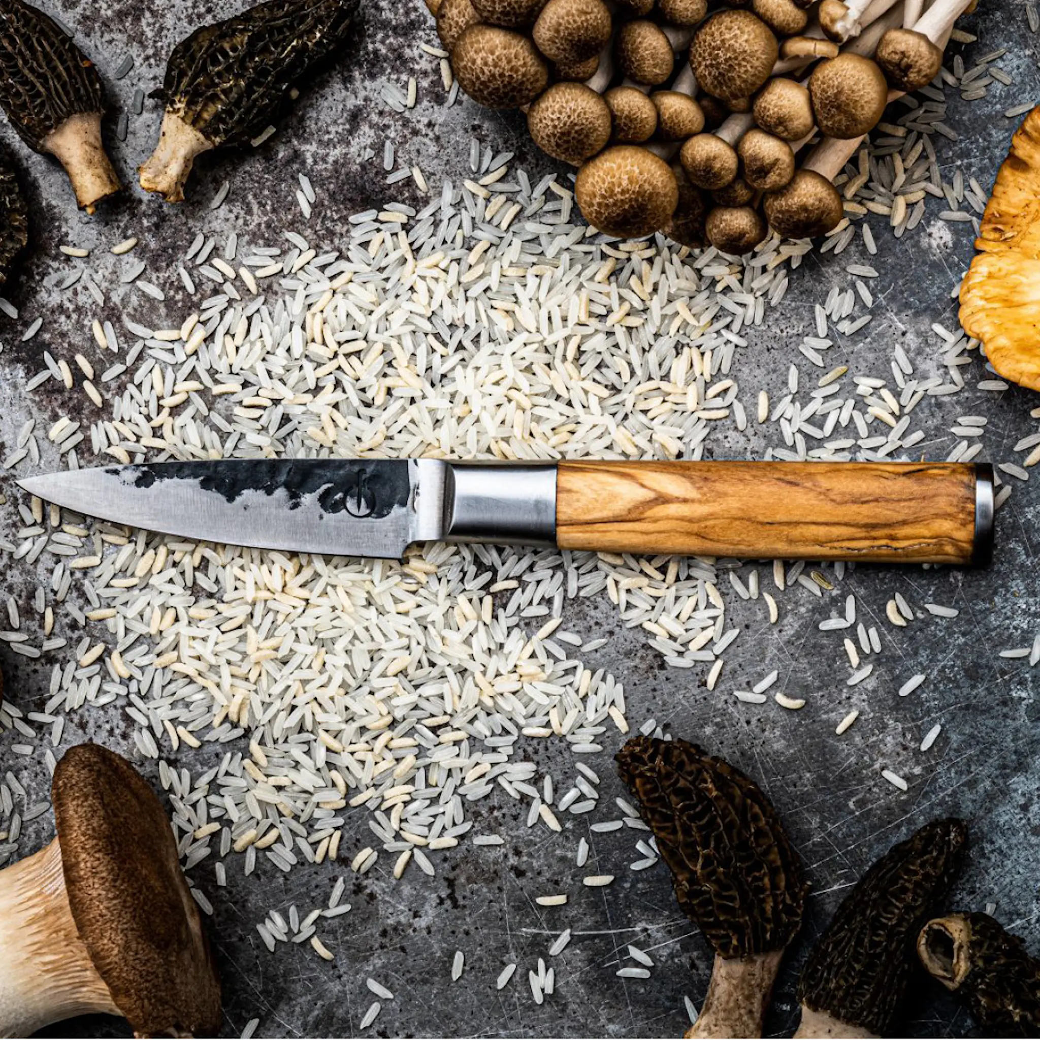 Forged Skalkniv 22 cm Olive
