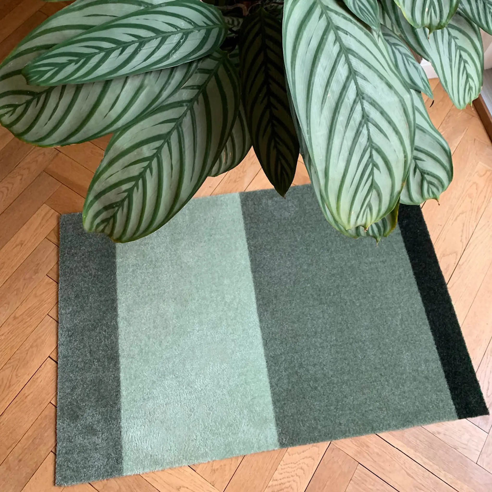 Tica Copenhagen Stripes Horizontally golvmatta 90x60 cm grön
