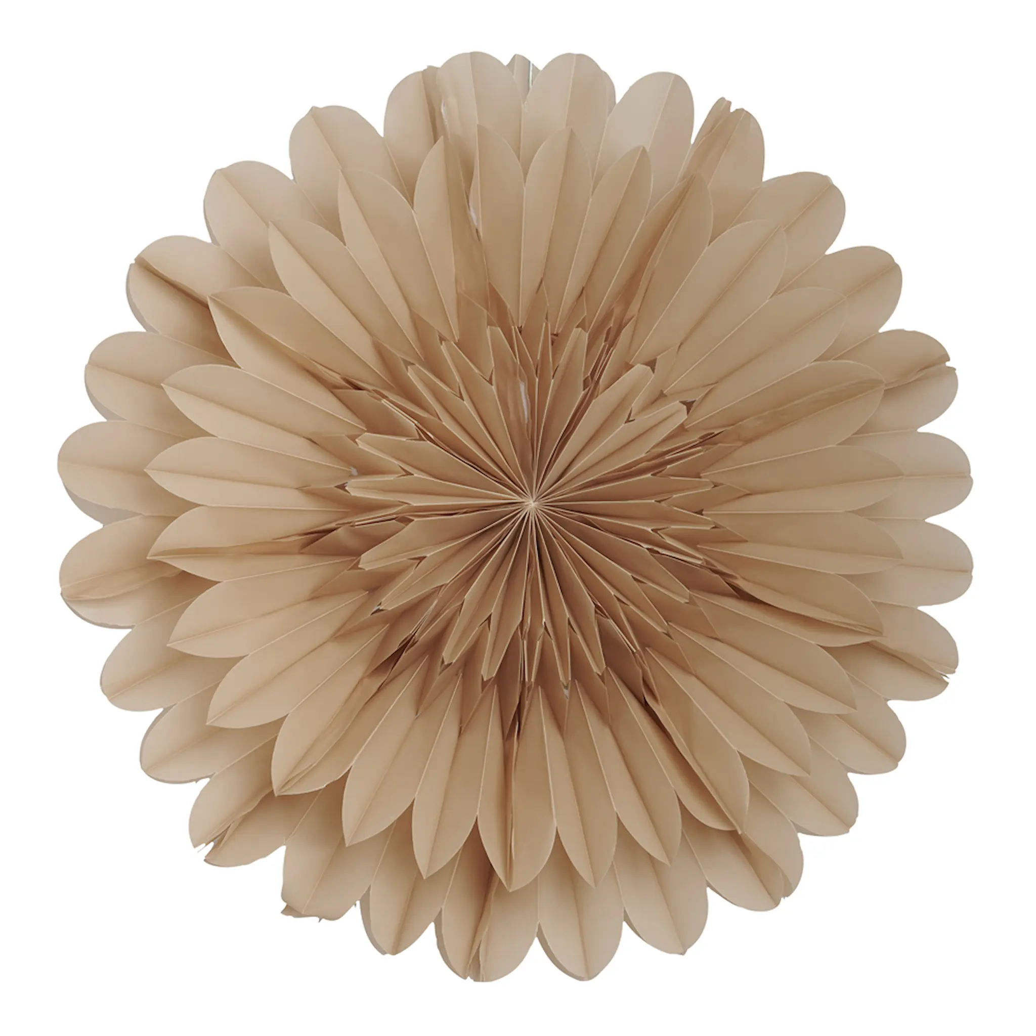 Watt & Veke Lotus Julstjärna 60 cm Beige