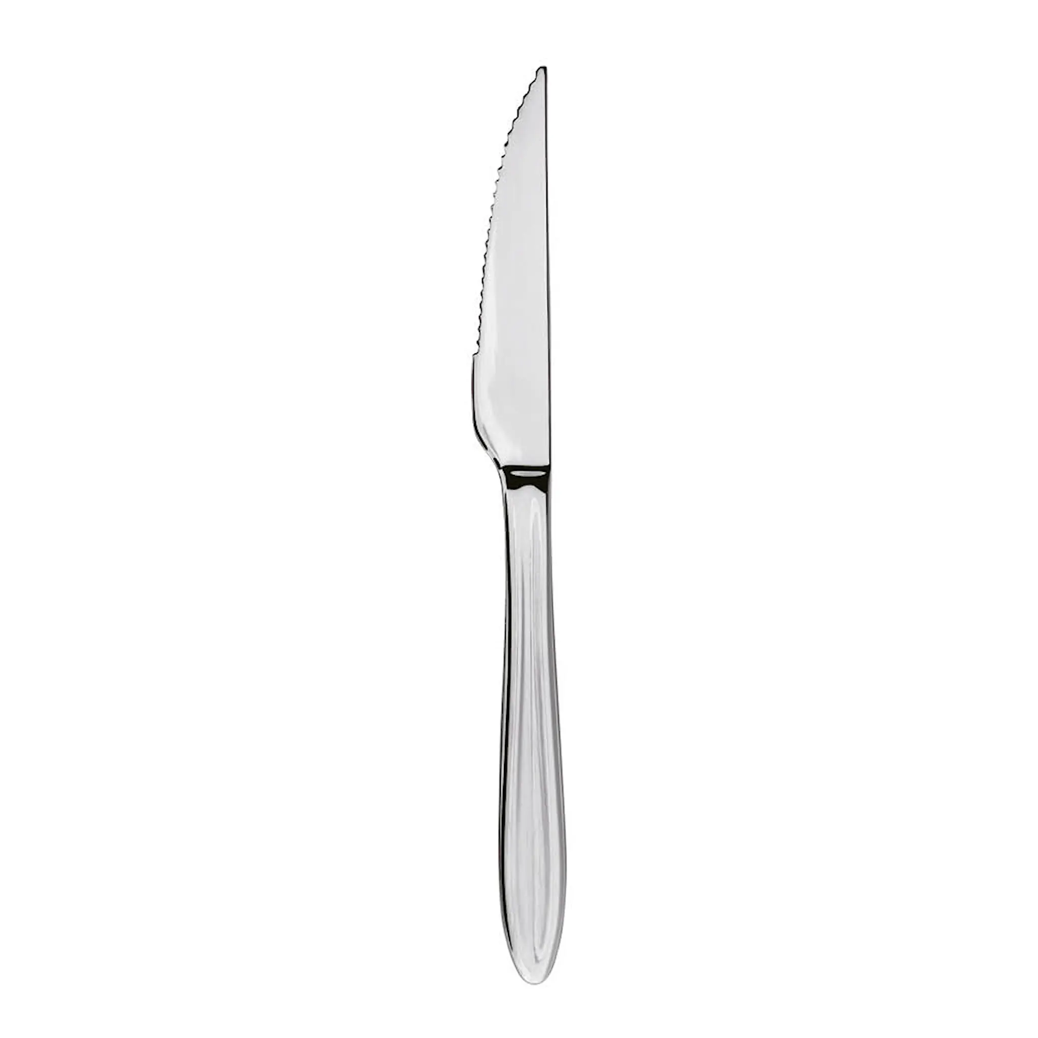 Aida Gastro grillkniv 22 cm mirror polish
