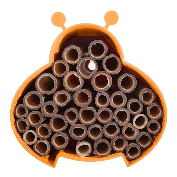 Bihotell 16 cm orange