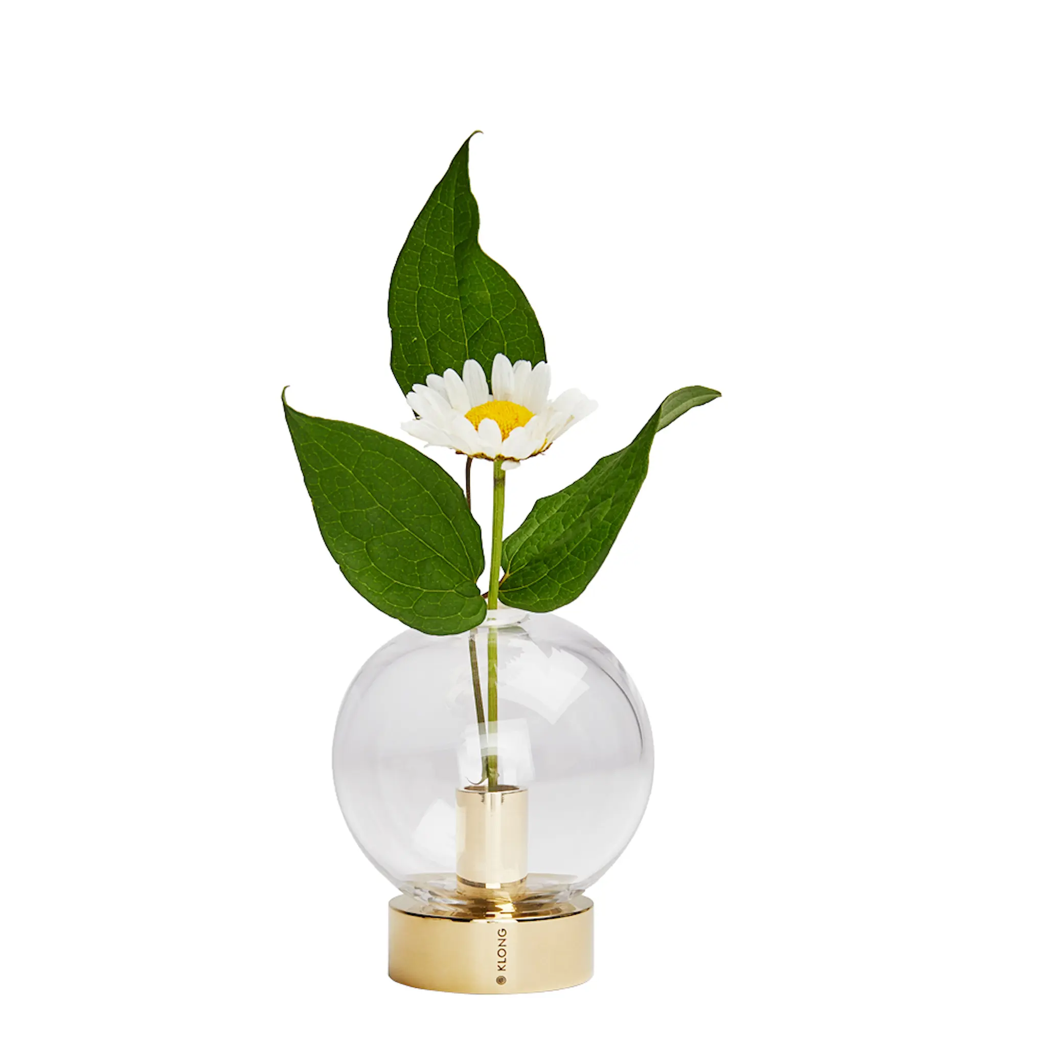 Klong Orbis Vas Glas/Mässing 8x7 cm