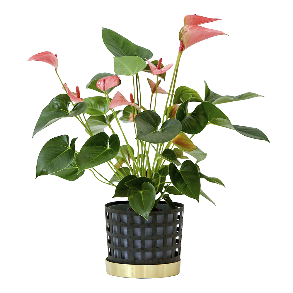 Klong Trio Square Kukkaruukku 18 cm Sininen