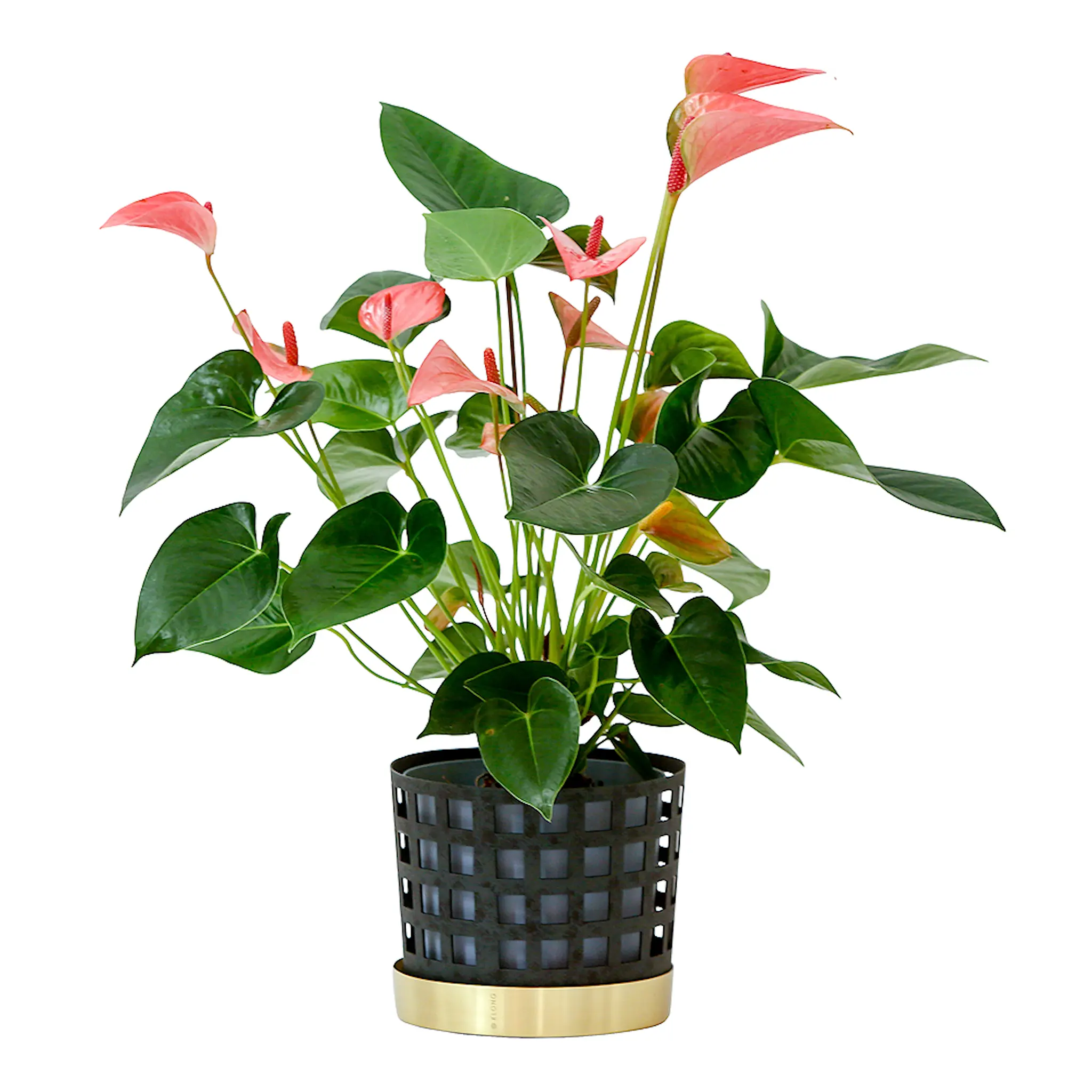 Klong Trio Kruka Square 18 cm Blå